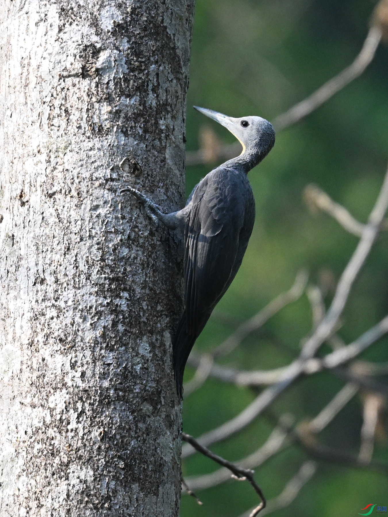DSC_5455.JPG
