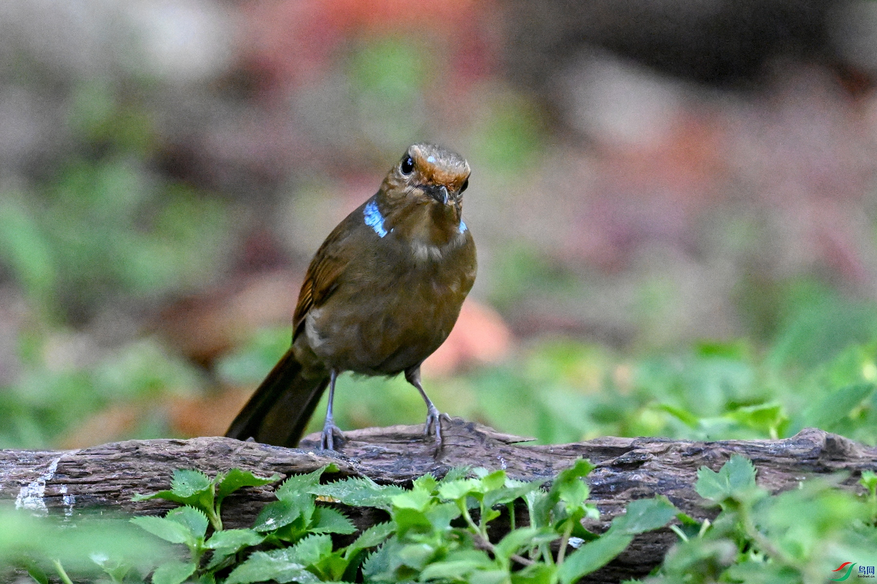 DSC_5576.JPG