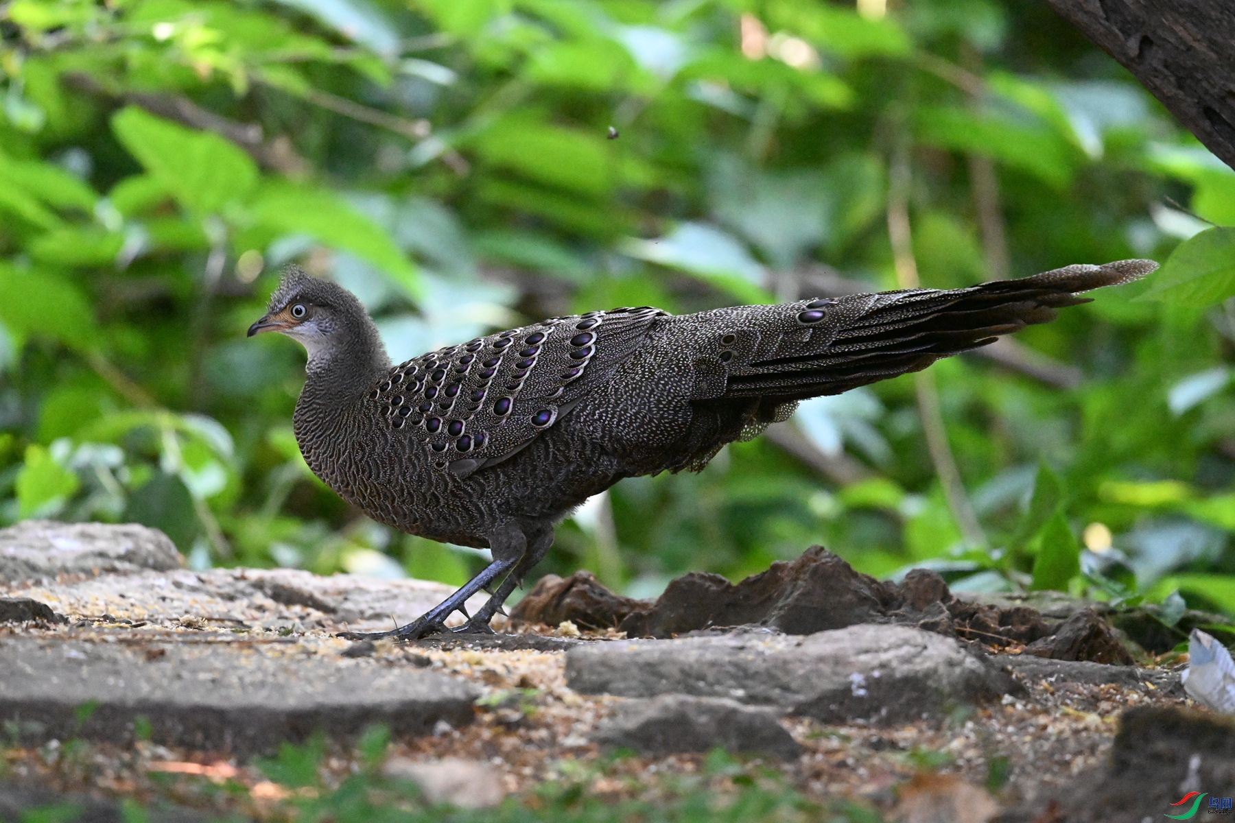 DSC_5572.JPG