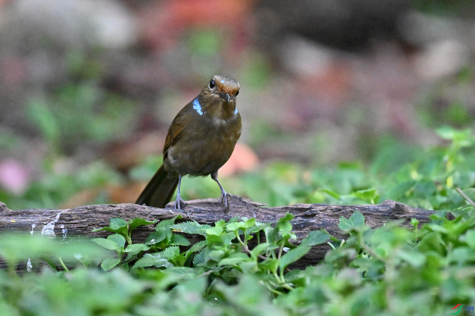 DSC_5577.JPG