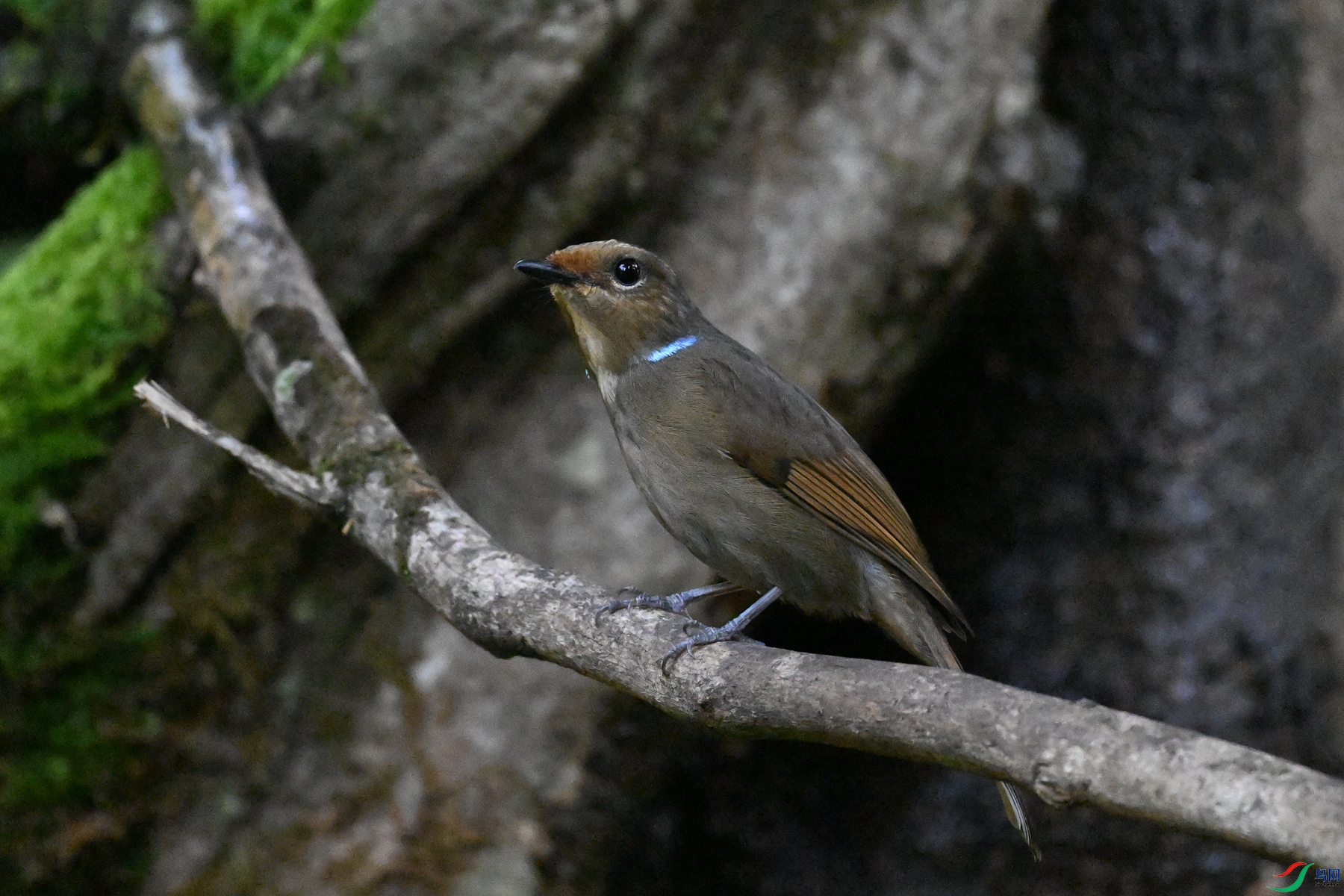 DSC_5579.JPG
