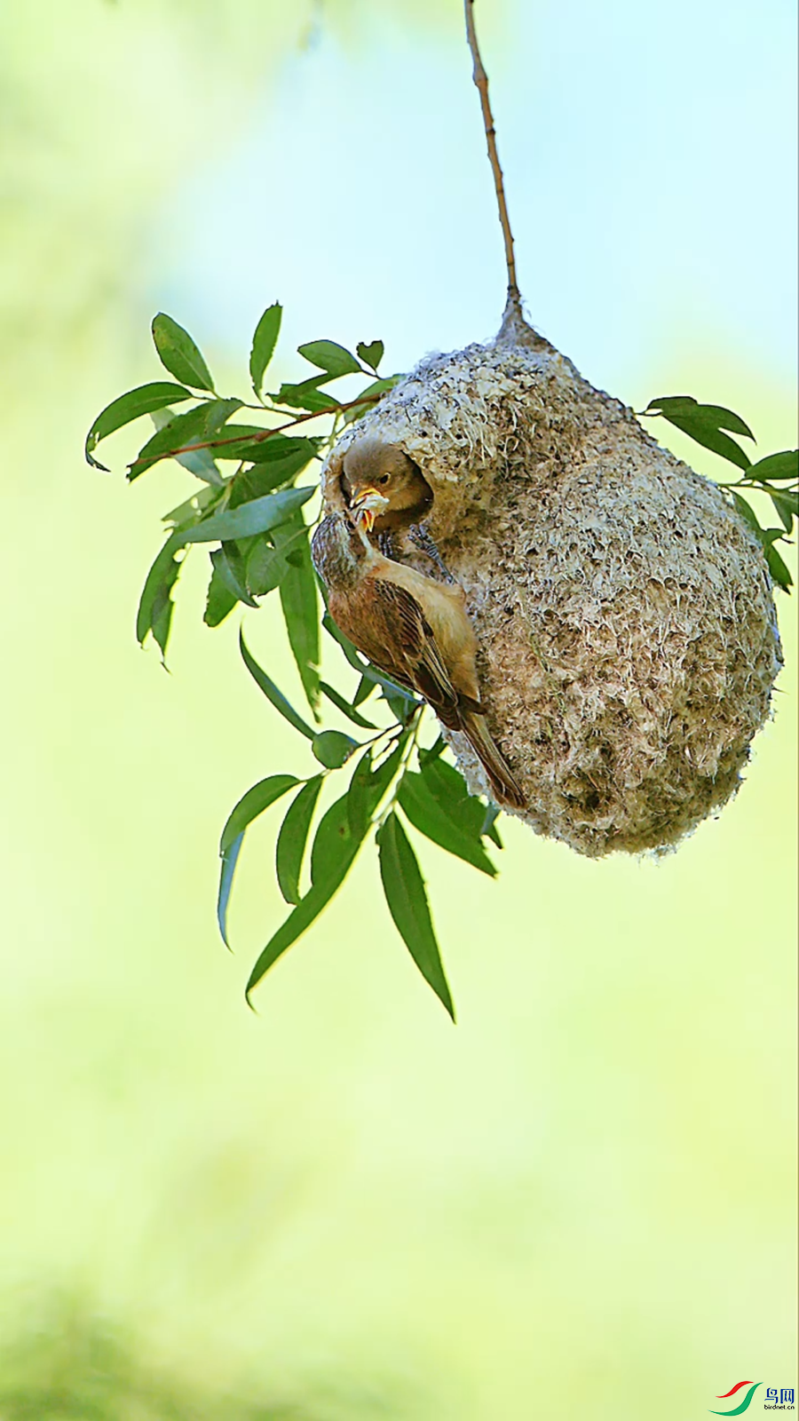 7��23�� (22).png