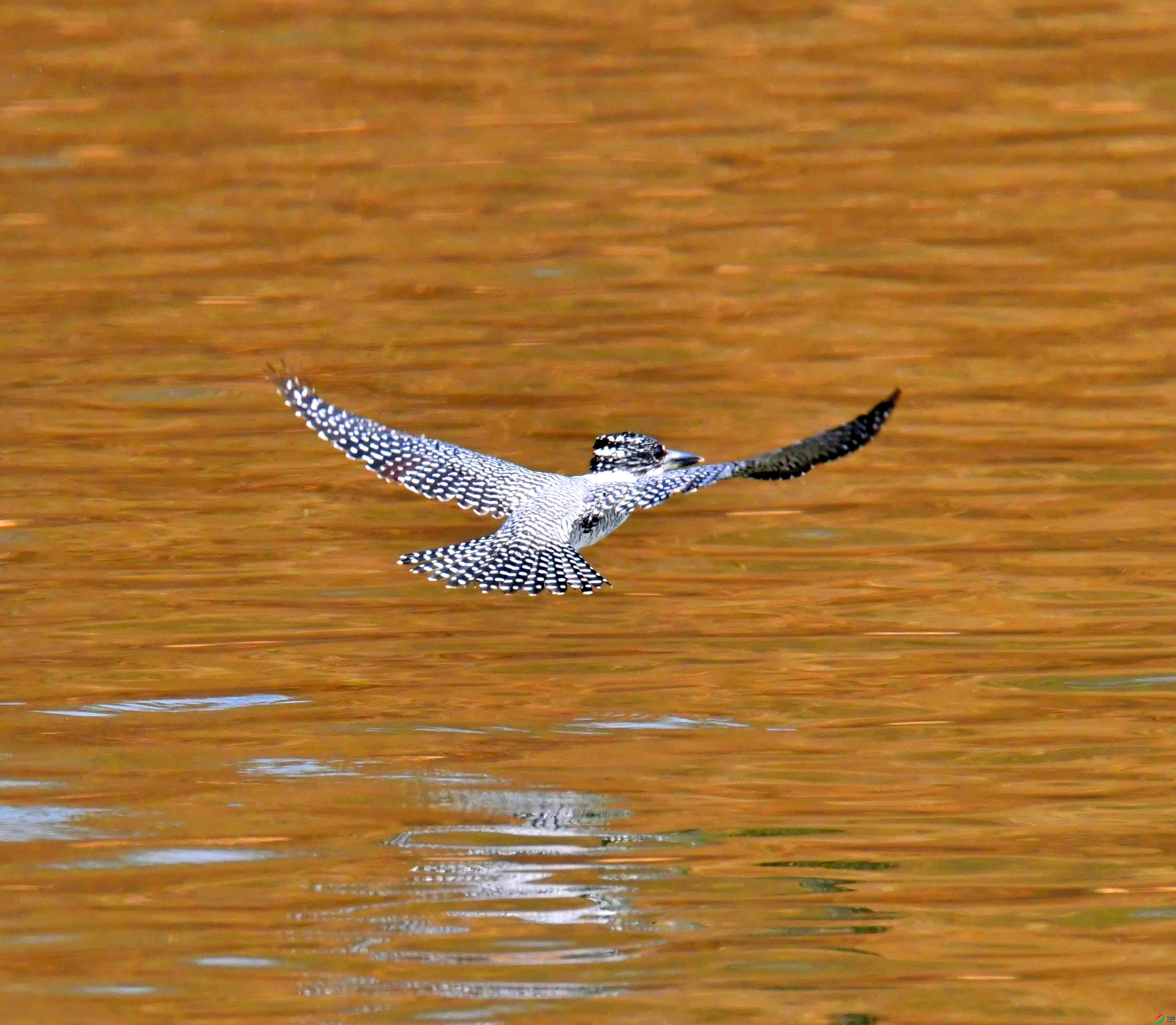 DSC_1456.JPG