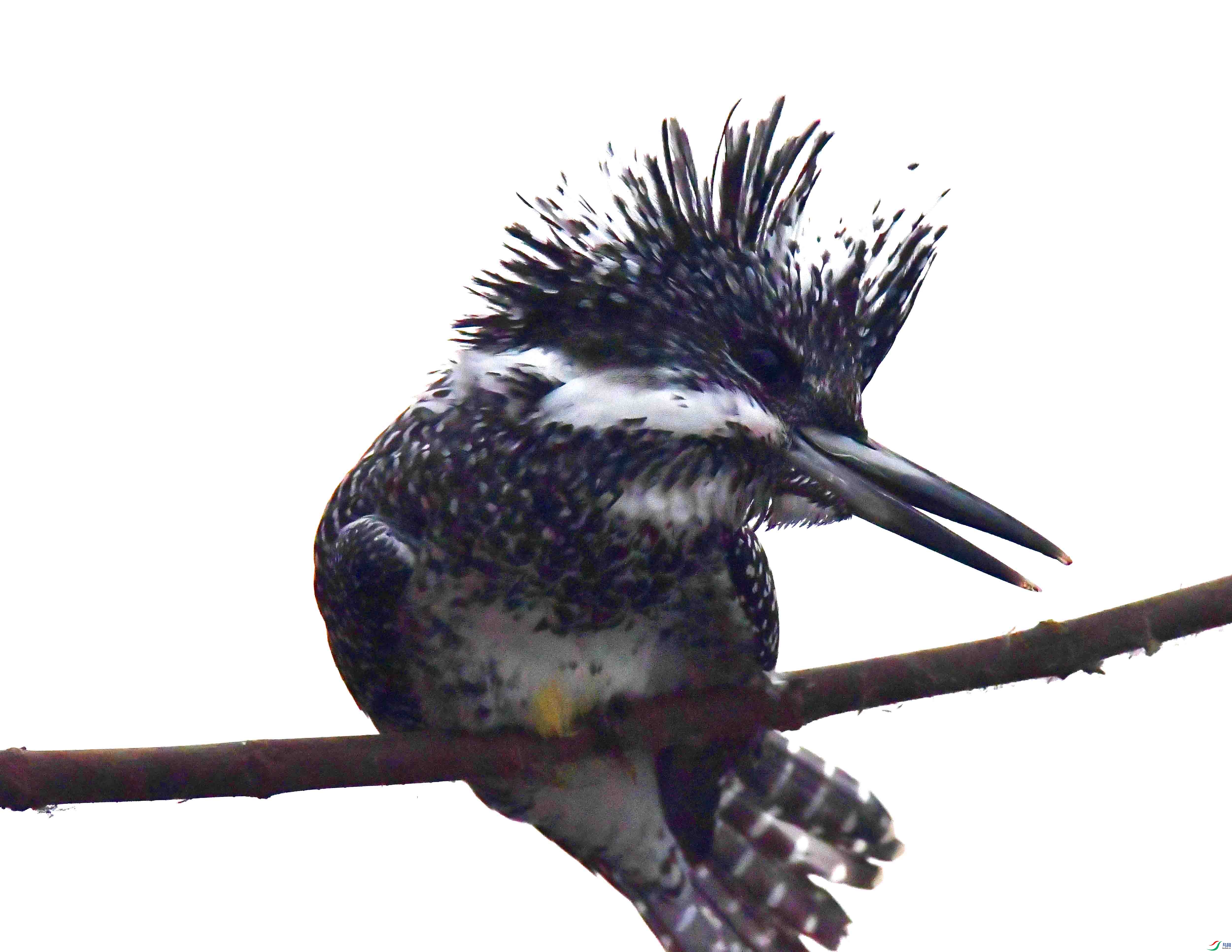 DSC_1722.JPG