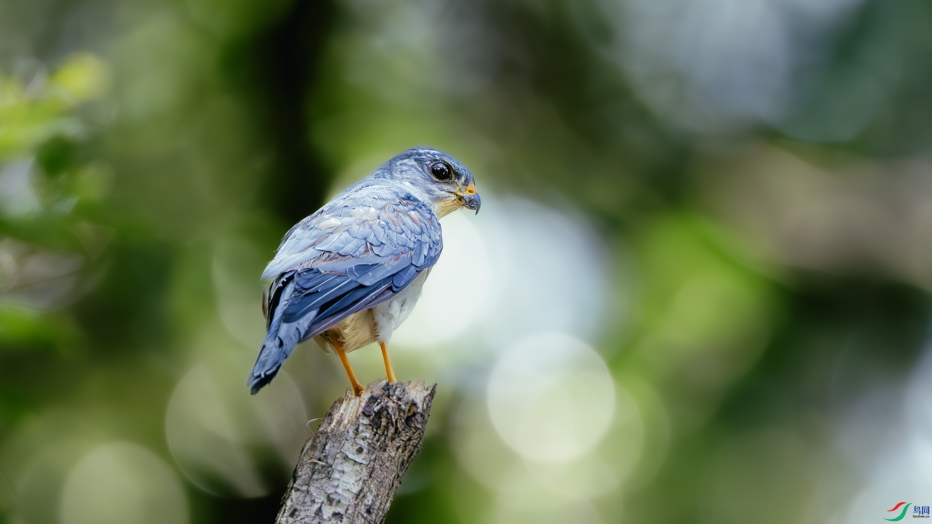 DSC_4535-����ǿ-NR ����.jpg