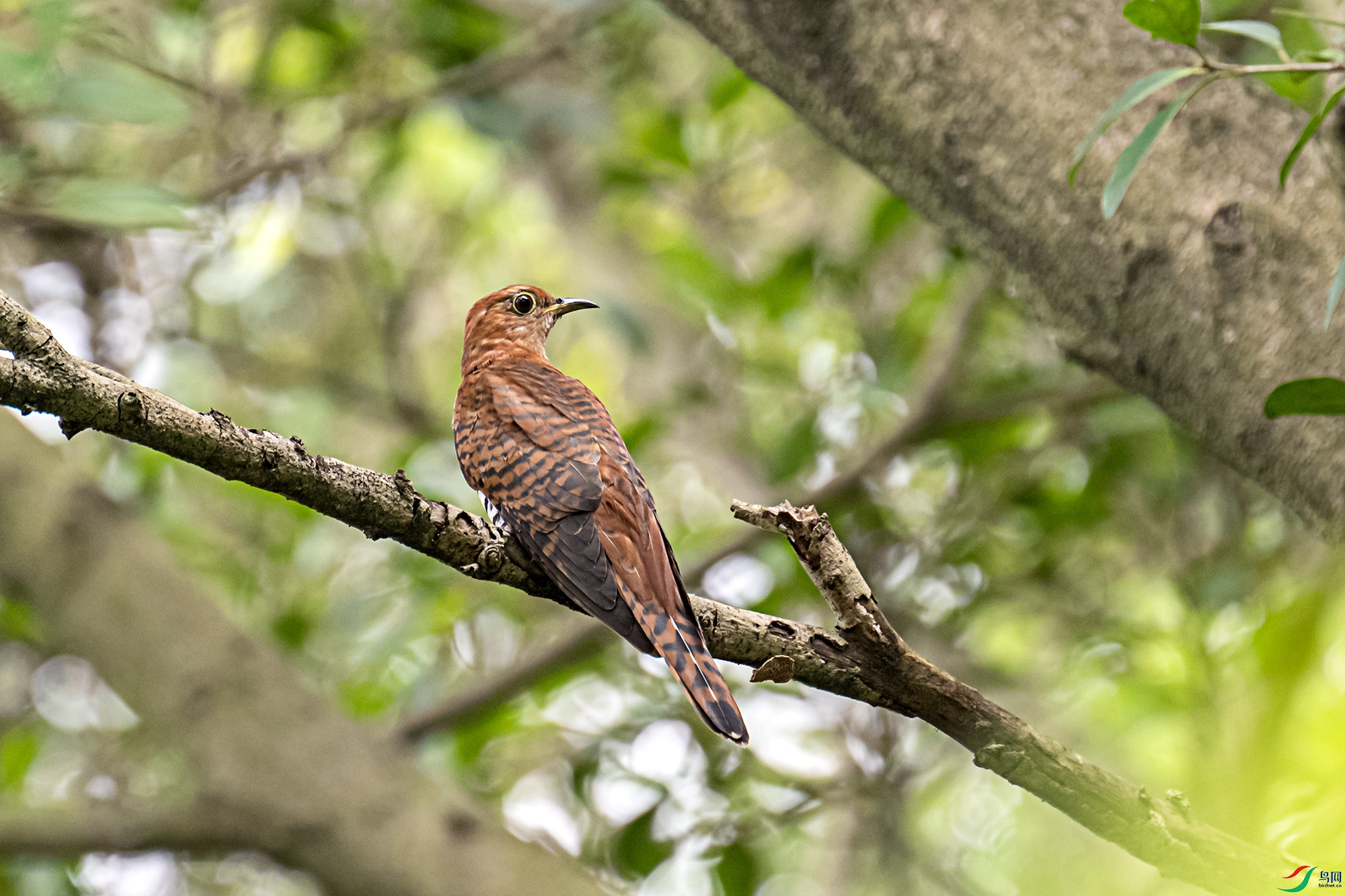 DSC_2596x.jpg