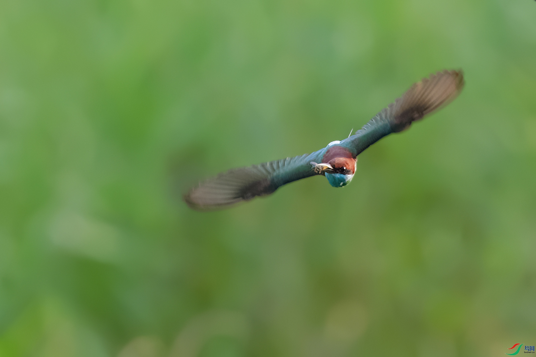 DSC_7921_DxOa.jpg