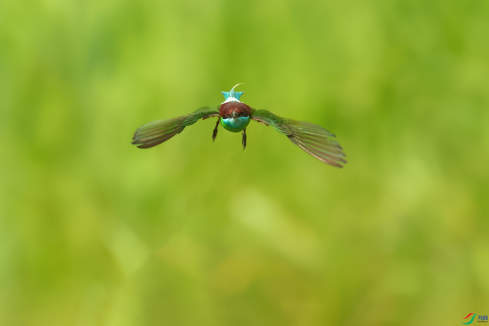 DSC_6412_DxOa.jpg