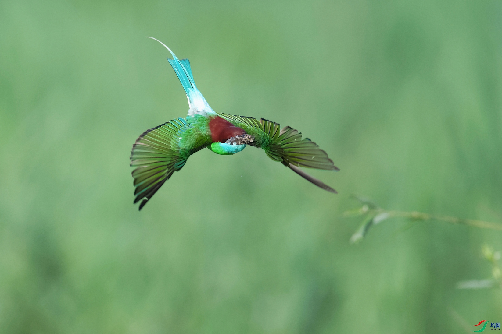 3DSC_7120_DxOa.jpg