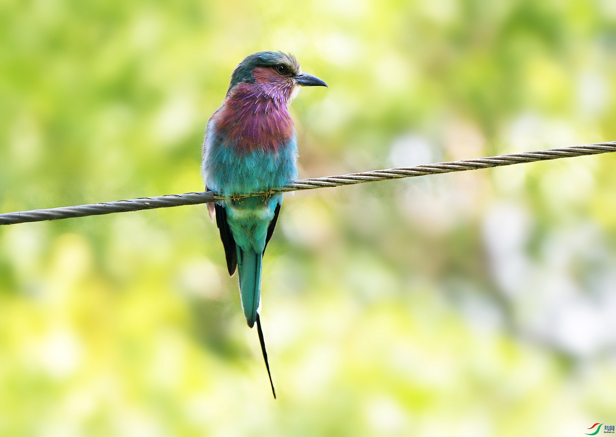 DSC_0848_.jpg