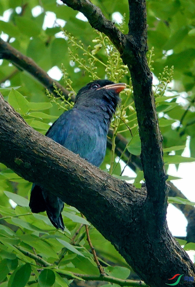 DSC02316_x.jpg