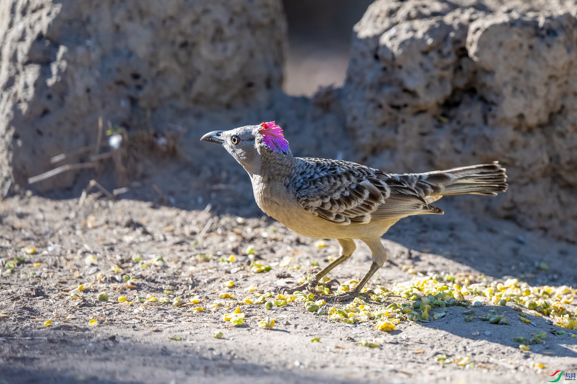 DSC_2635.jpg