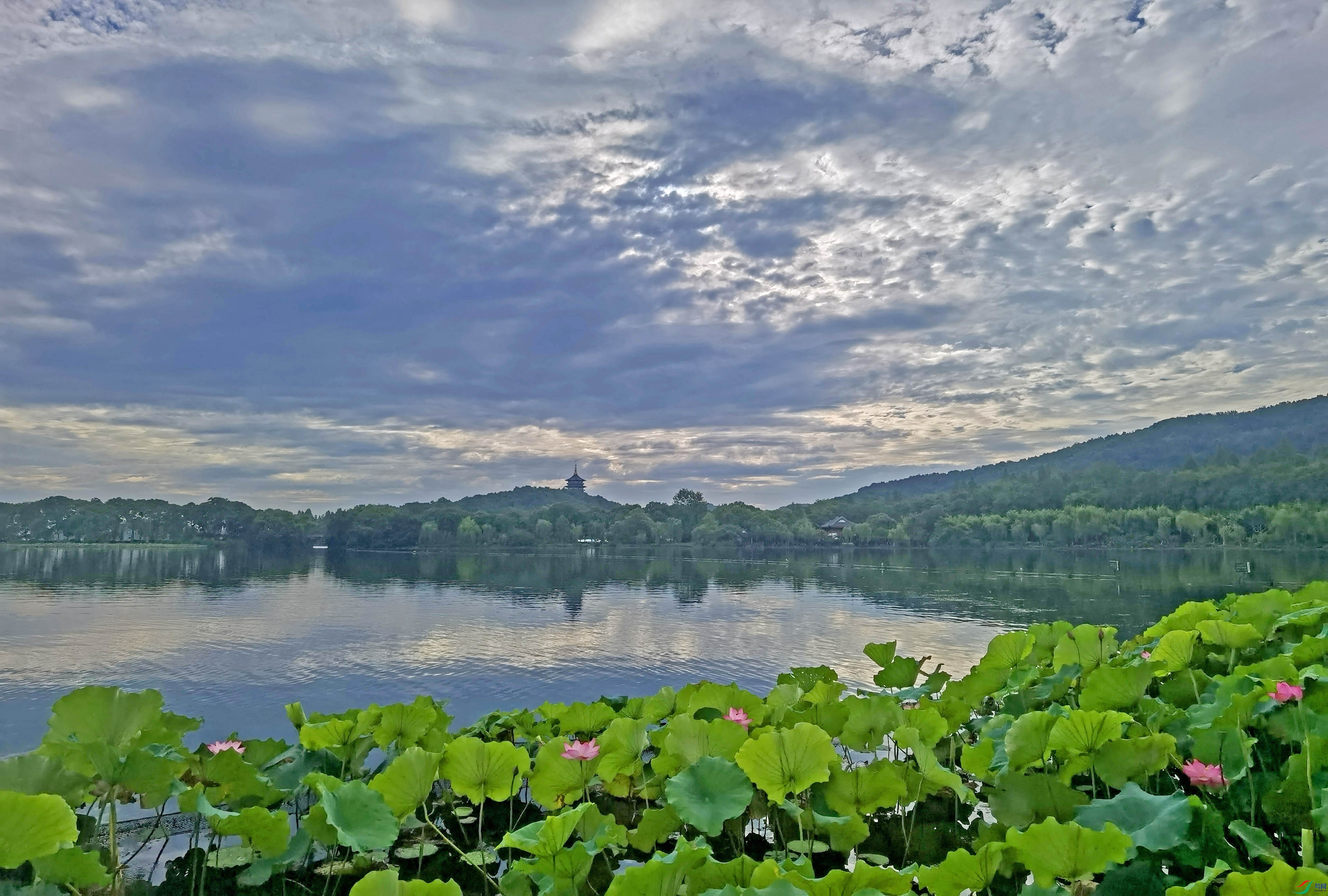 IMG_20260720_070402.jpg