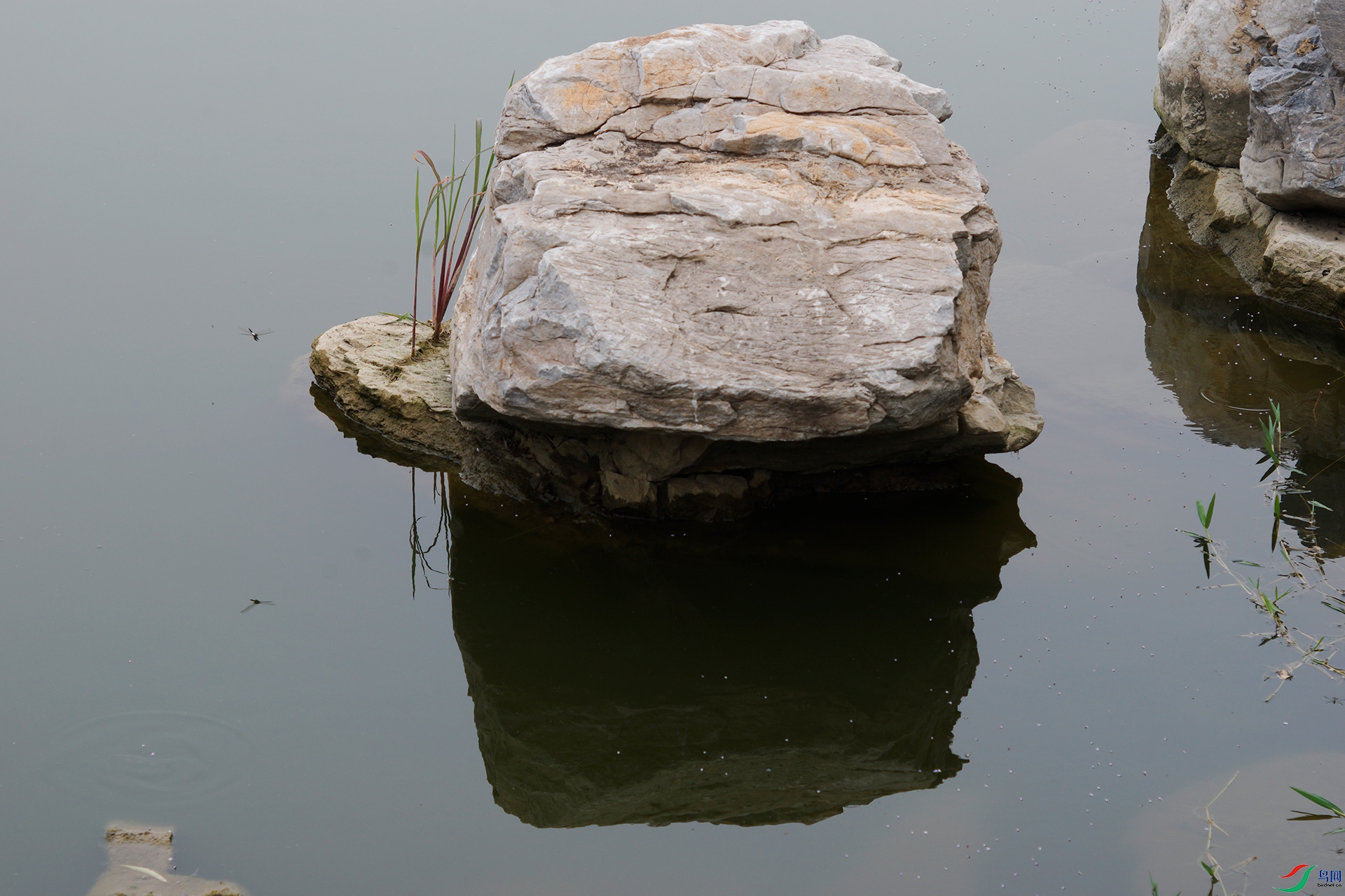 _DSC8184.jpg
