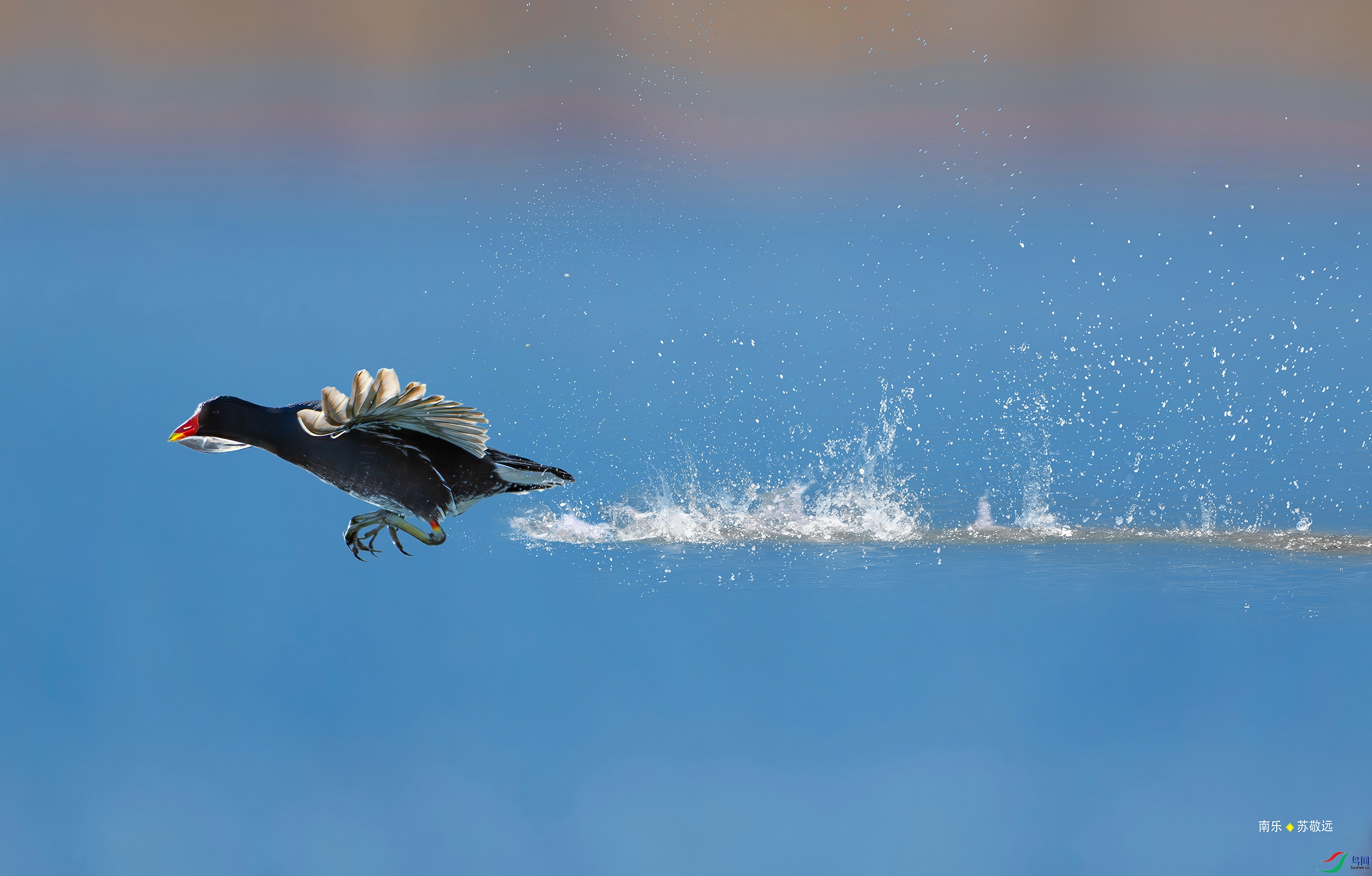 _DSC4510-DxO_С.jpg