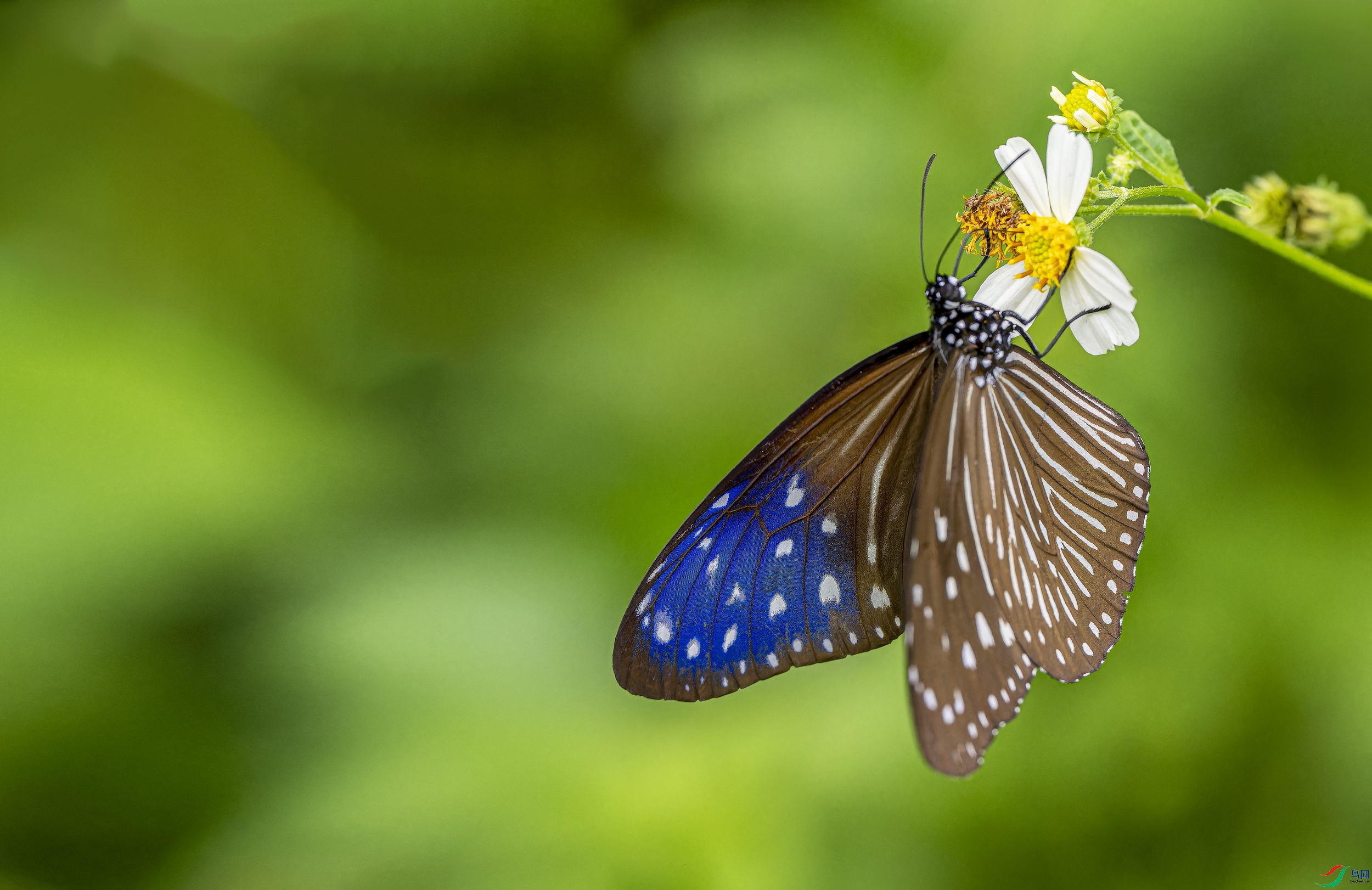 �����ϰߵ� (301)-2.jpg
