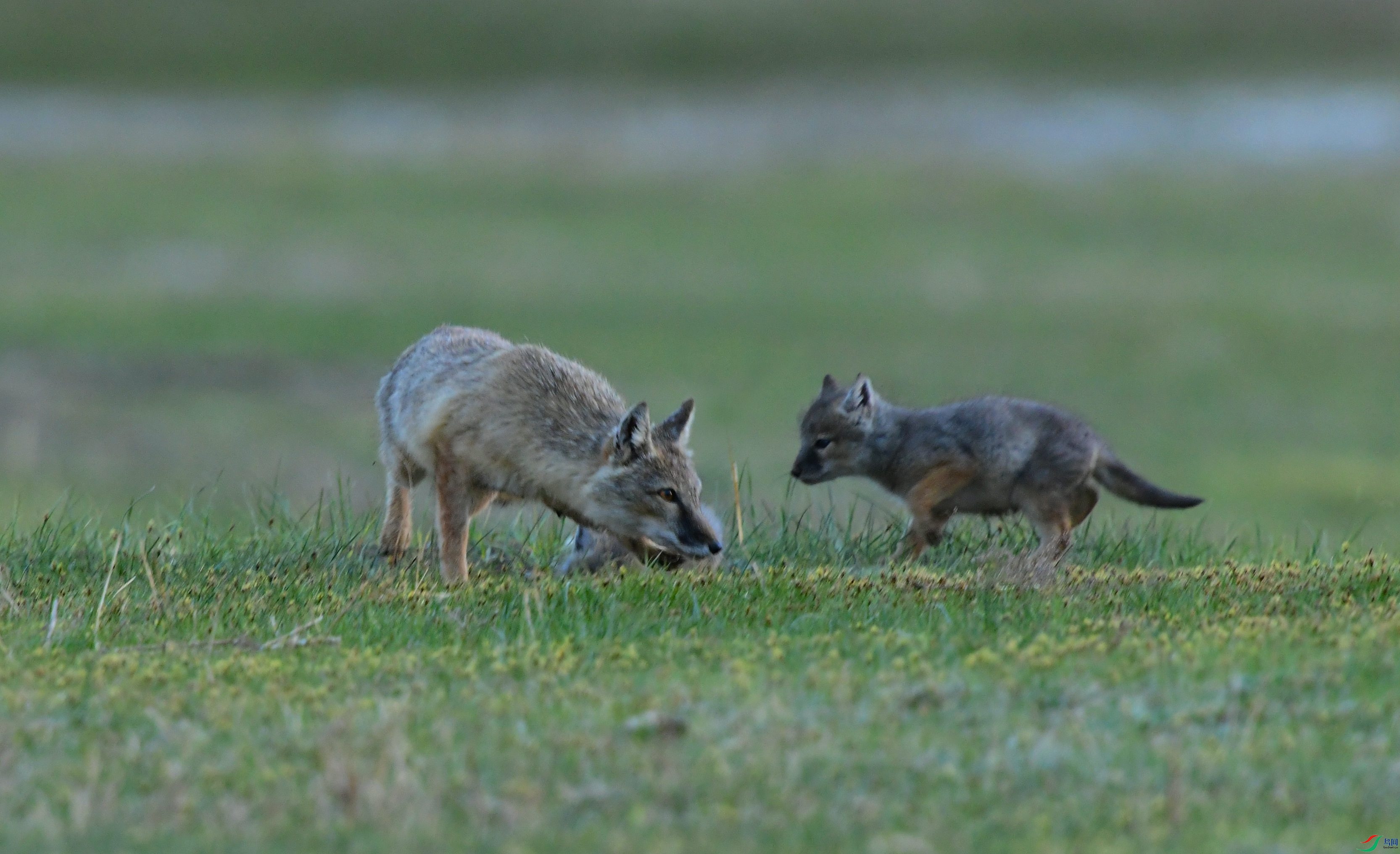DSC_9571.JPG