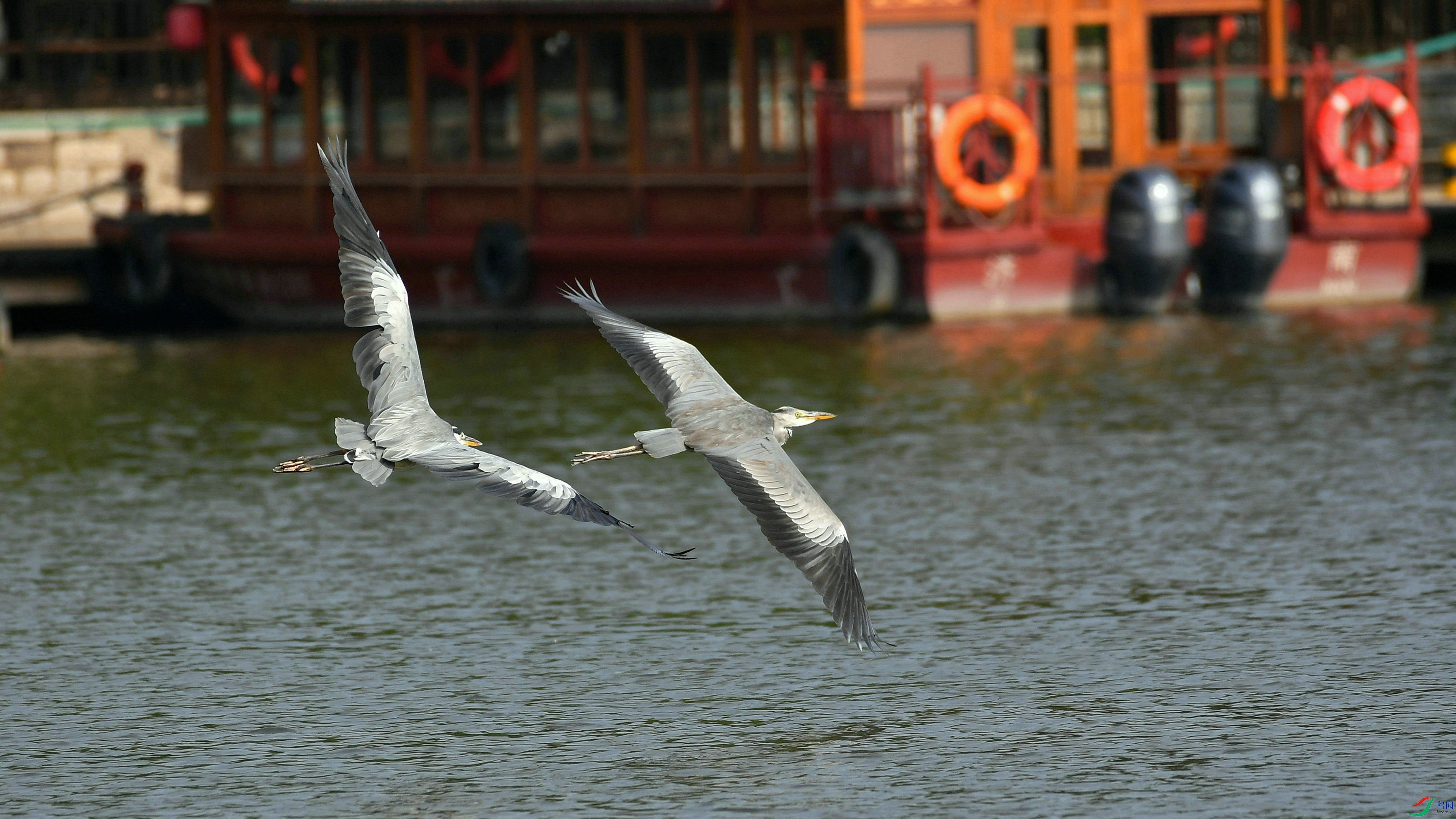 DSC_9623.JPG