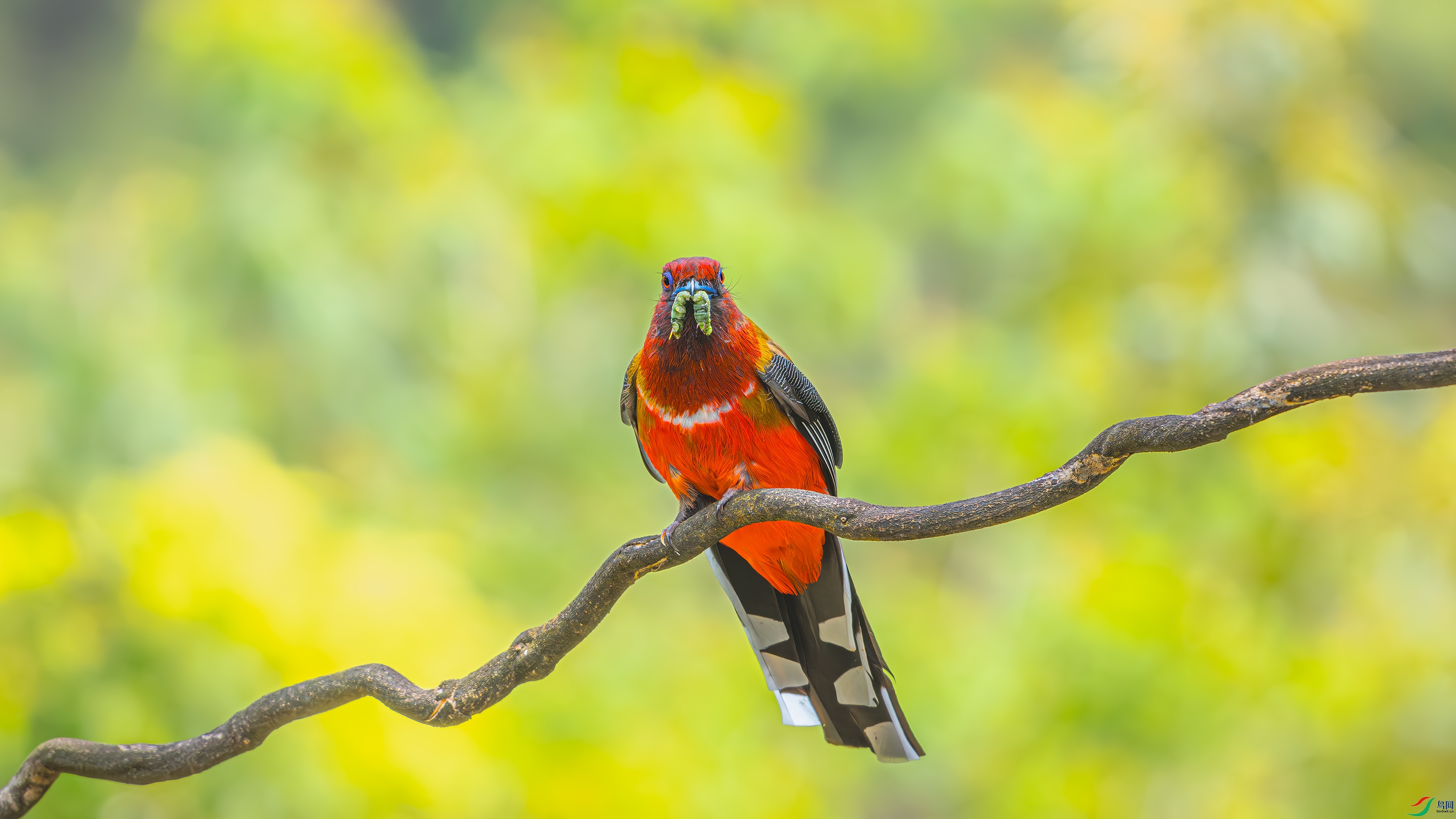 DSC_3045.jpg