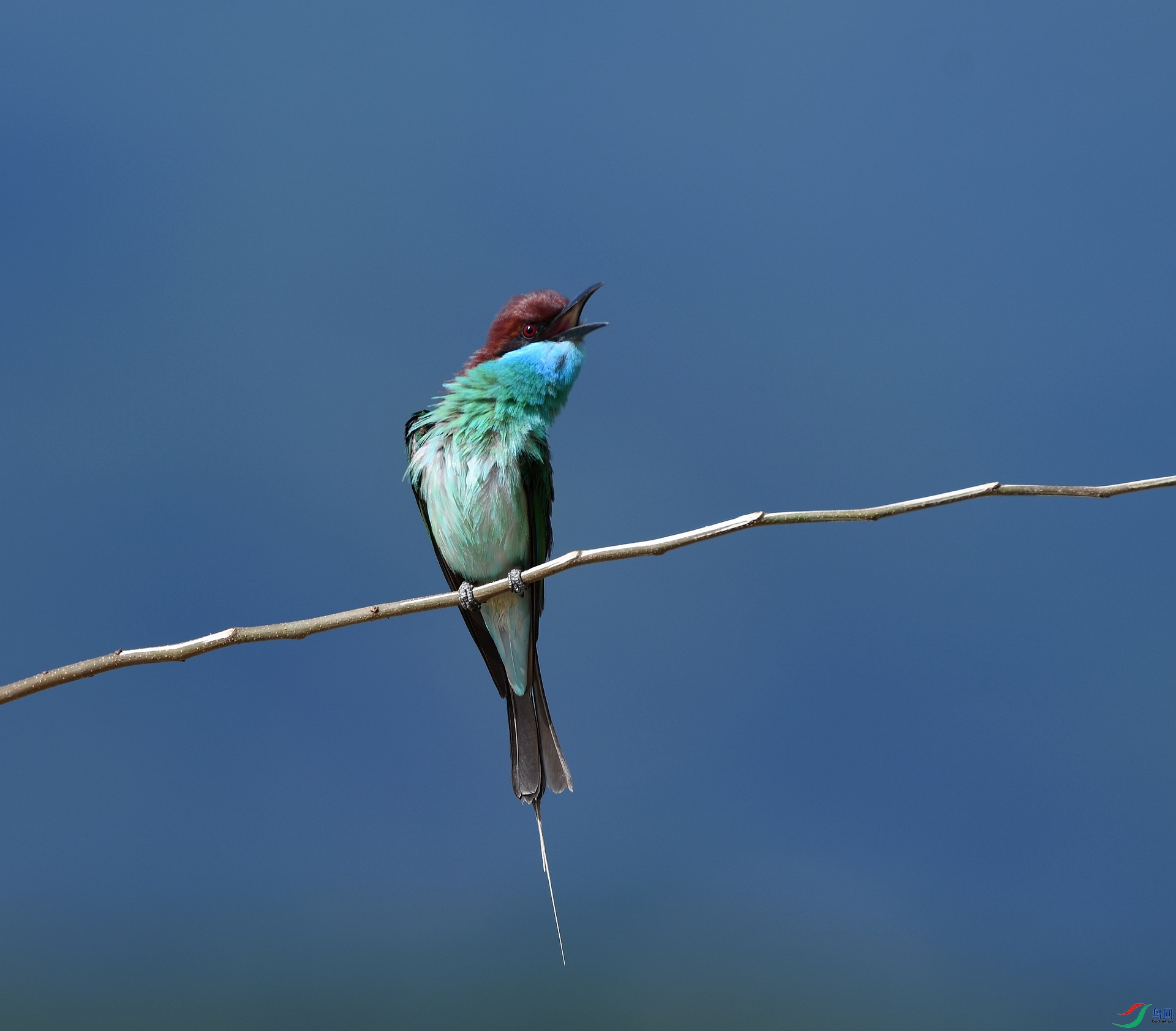 DSC_3879.jpg