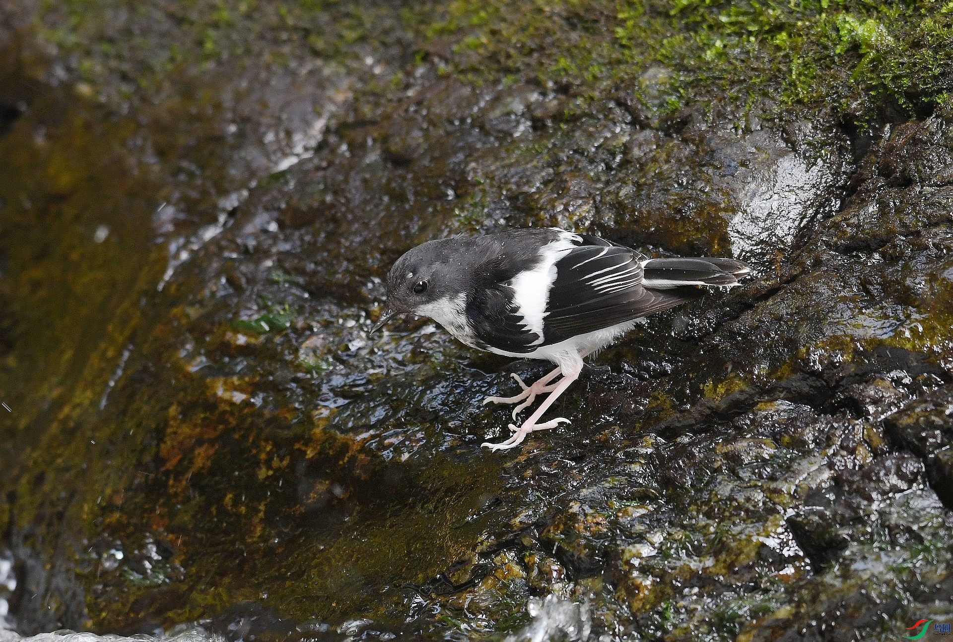 DSC_7722.jpg
