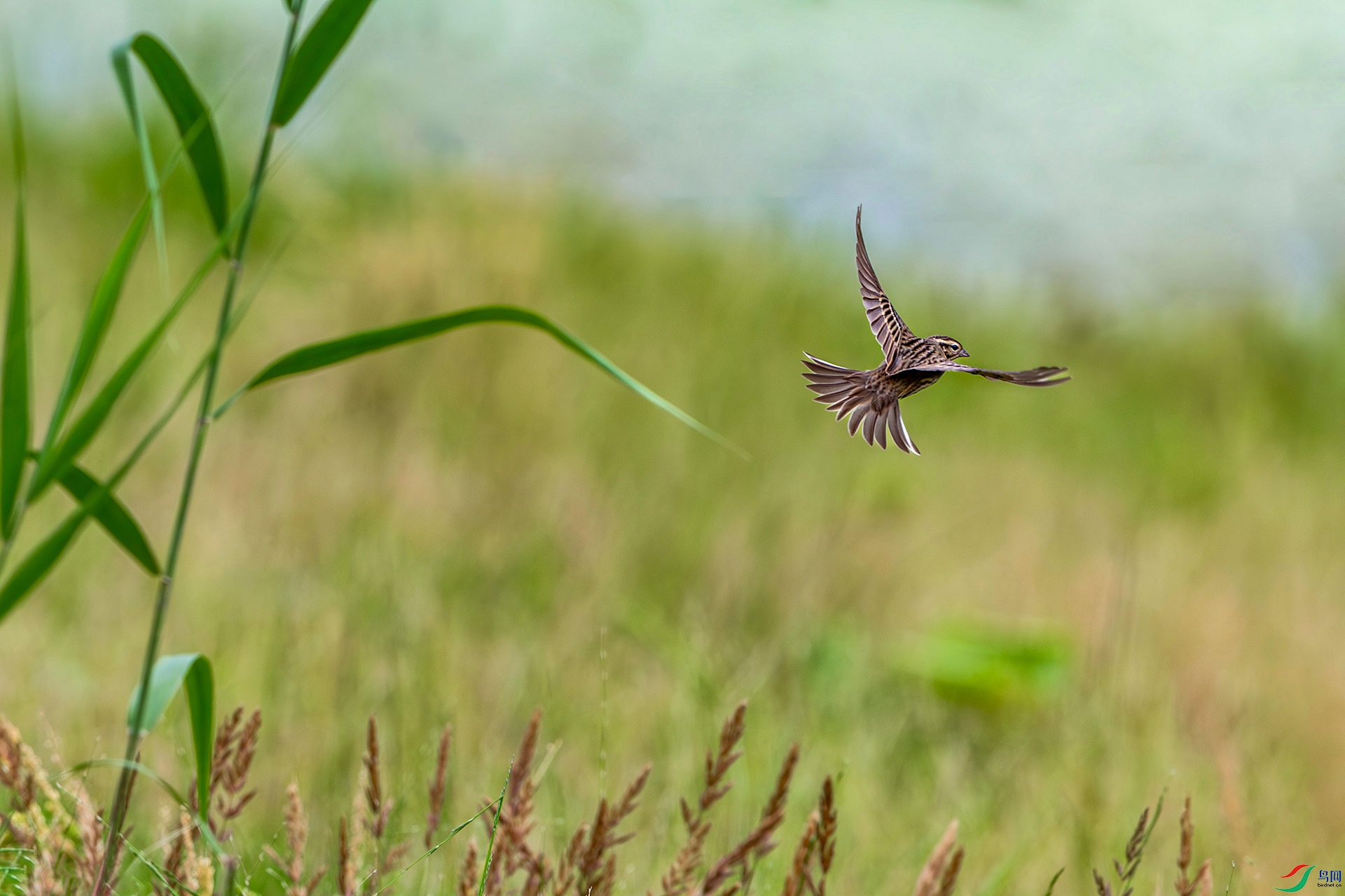 1I9A8851-1ab.jpg