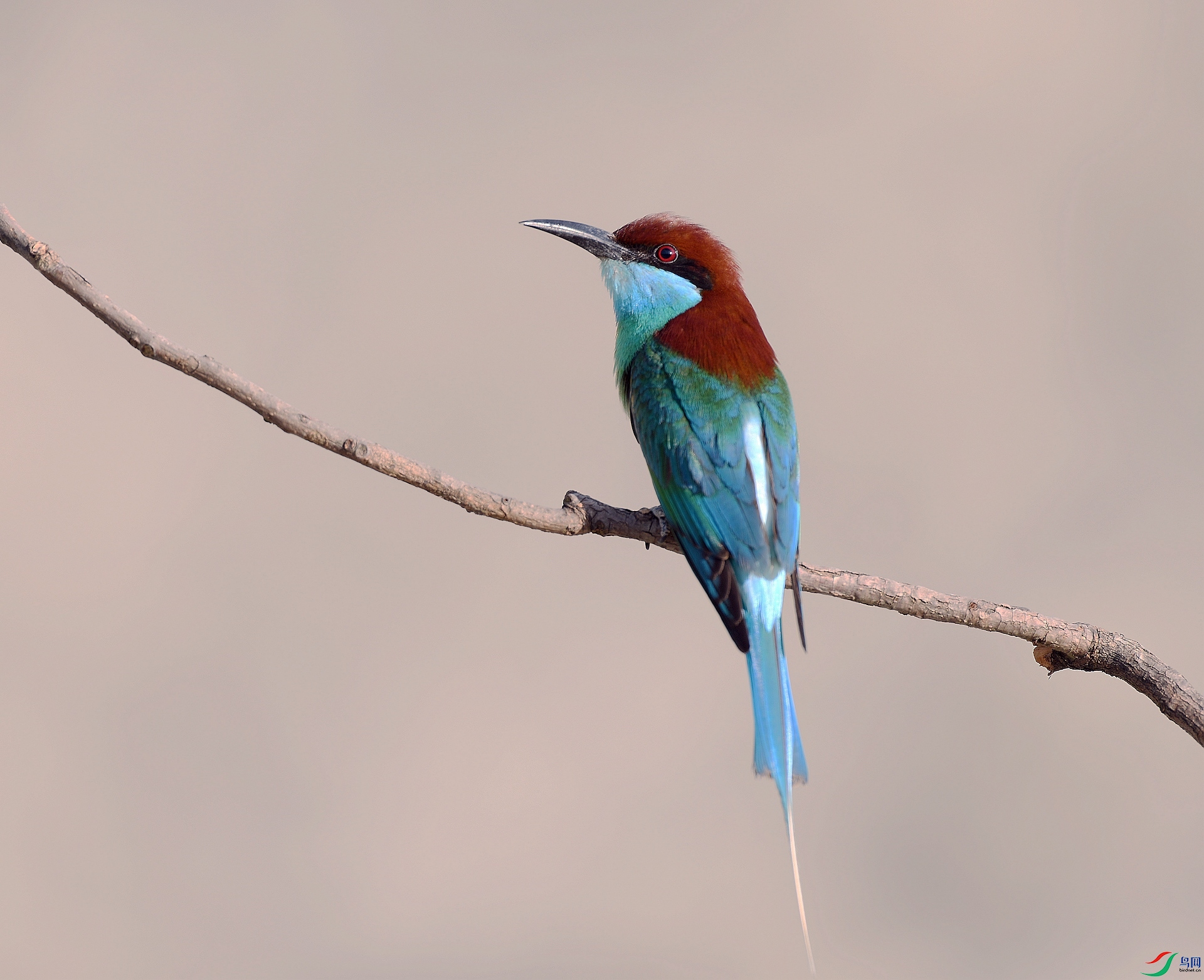 DSC_5363.jpg