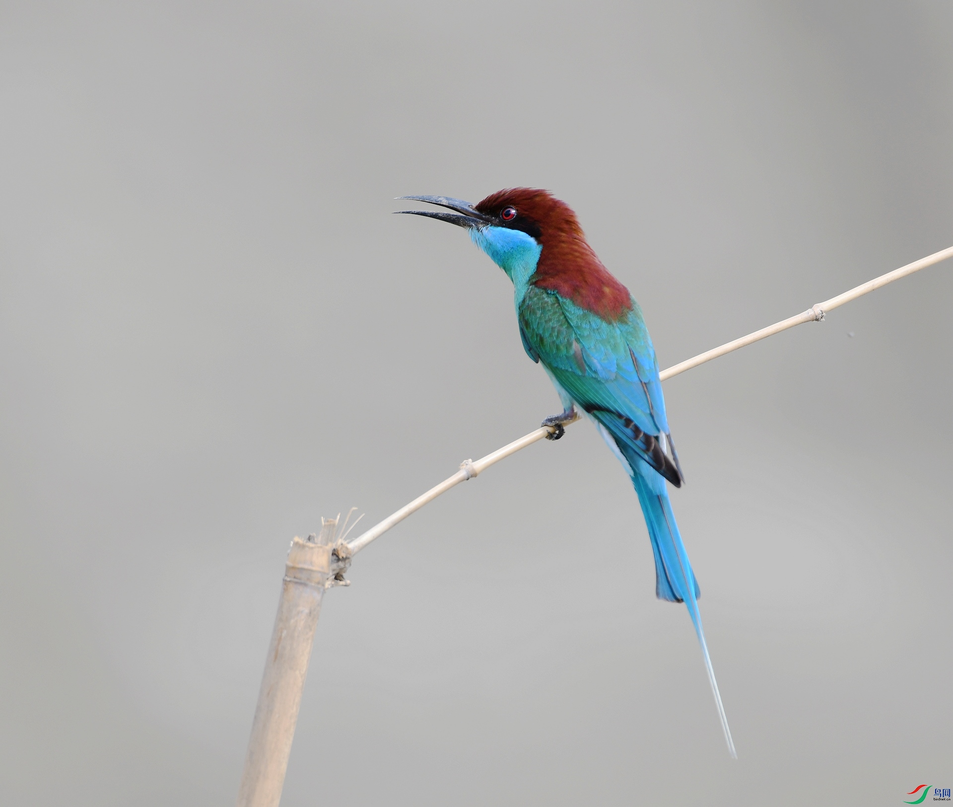 DSC_4181.jpg