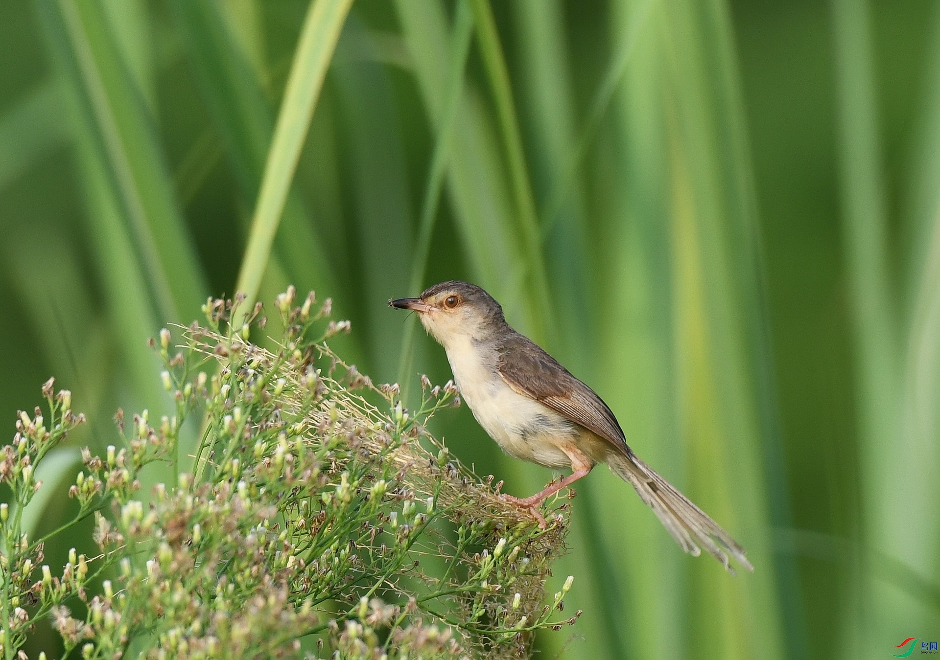 DSC_5351.jpg