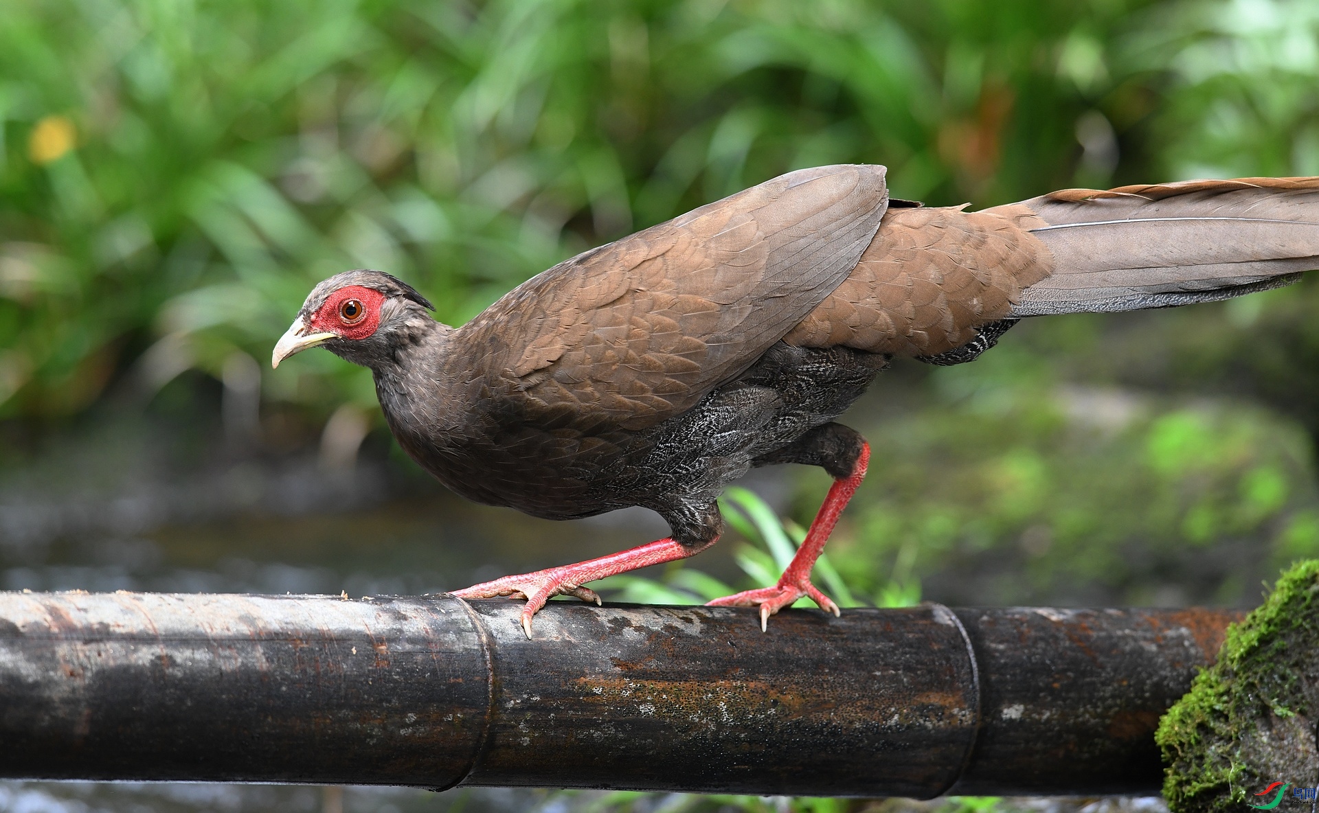 DSC_3945.jpg