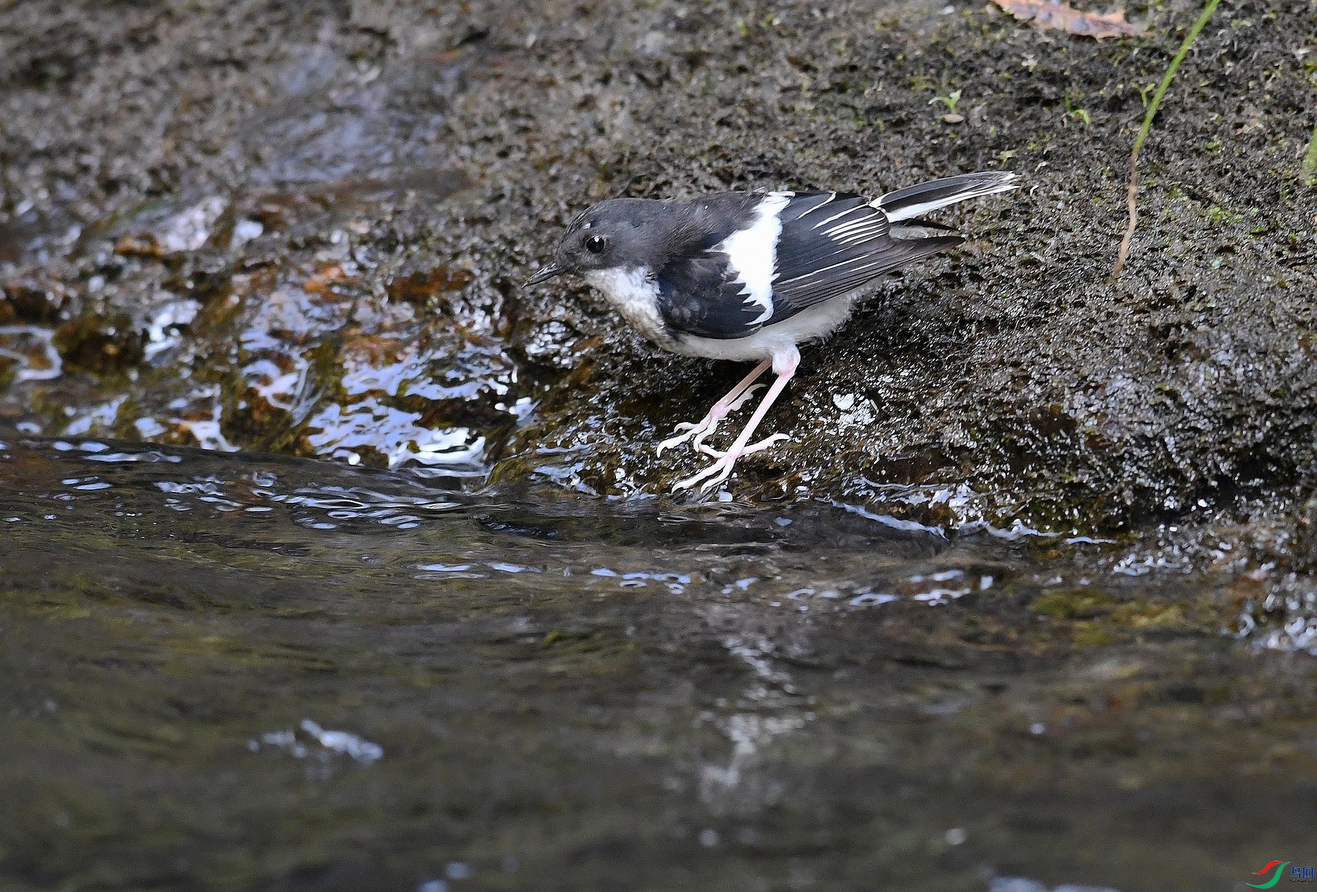 DSC_7693.jpg