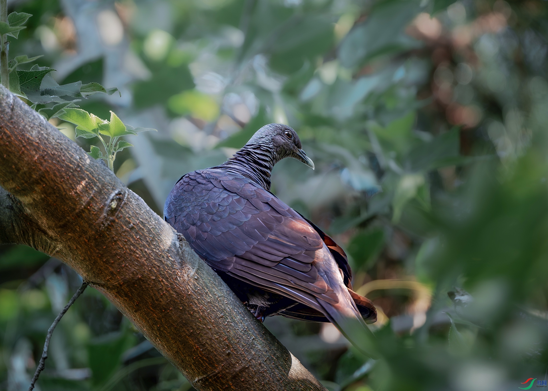 DSC_3926.jpg