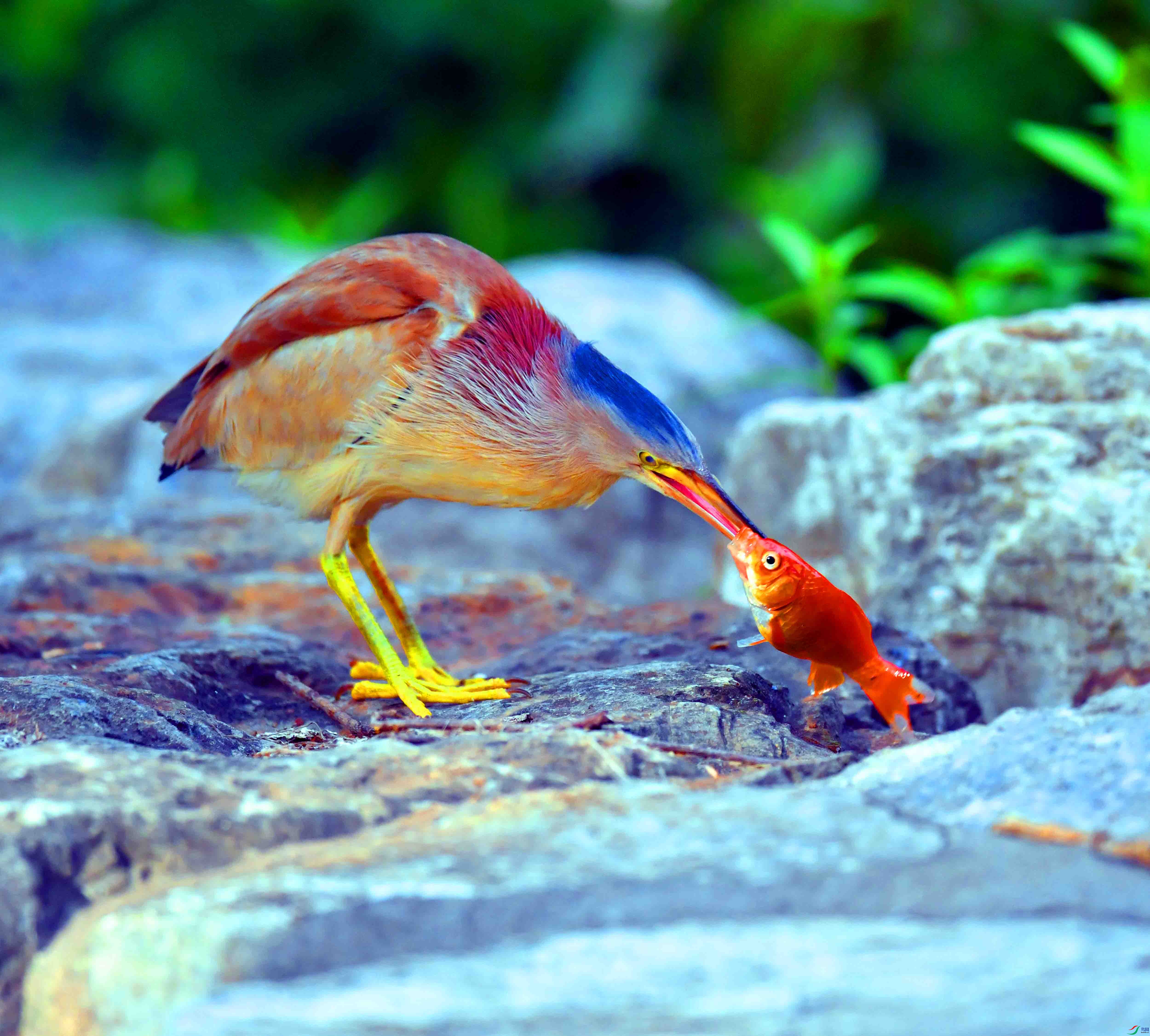 DSC_0049.JPG