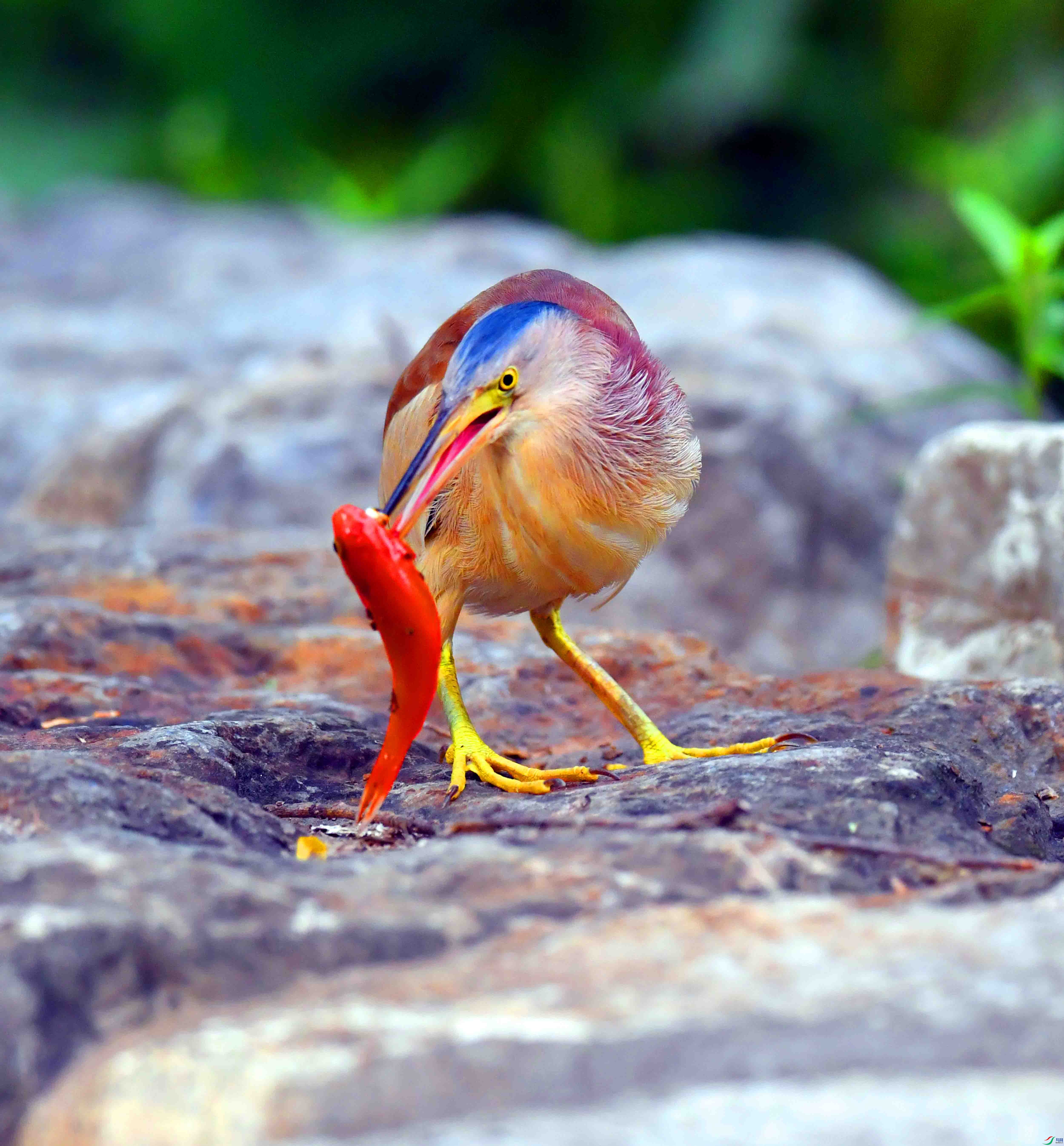 DSC_0214.JPG