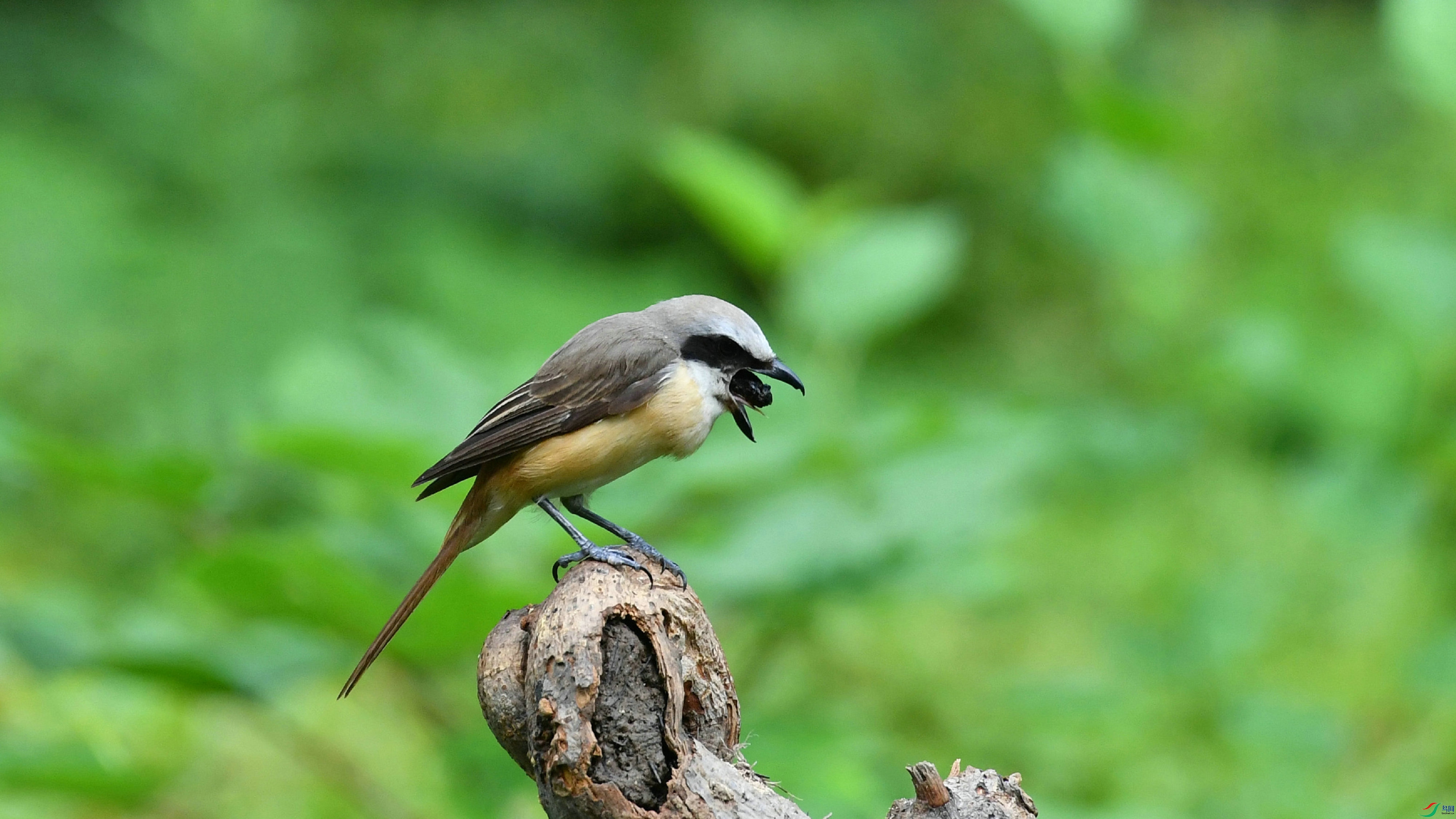 DSC_9044.JPG
