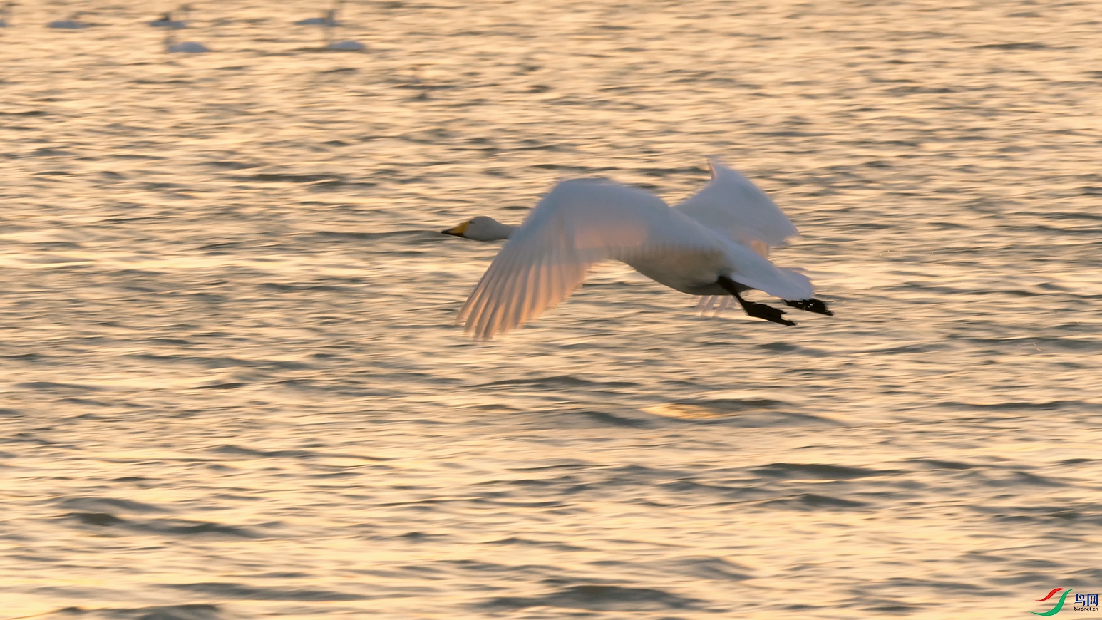 DSC_3028_DxOa.jpg