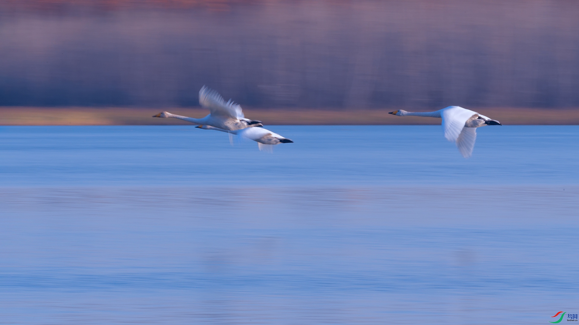 3DSC_2599_DxOa.jpg