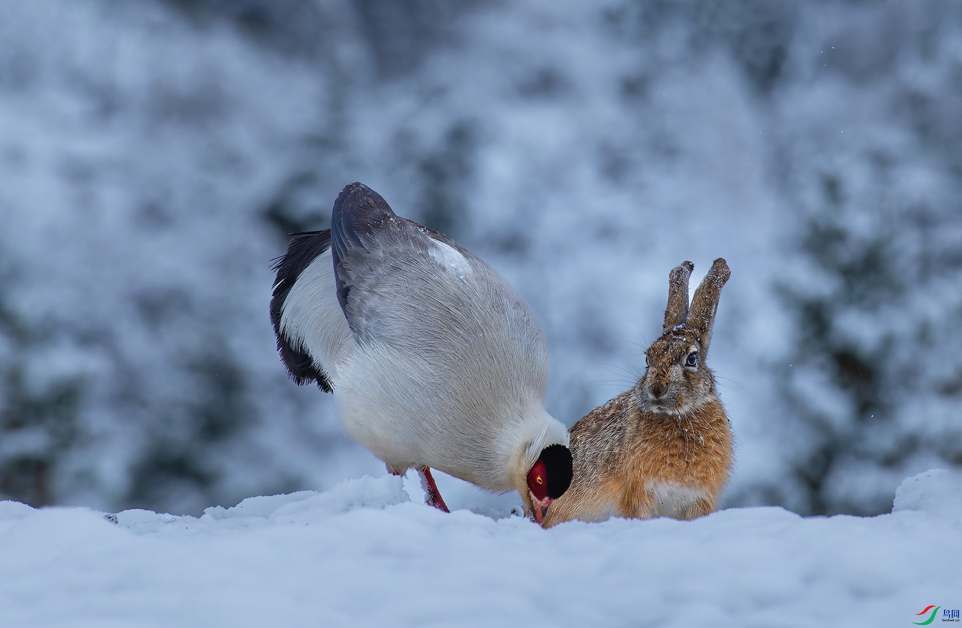 DSC_7142 -1.jpg