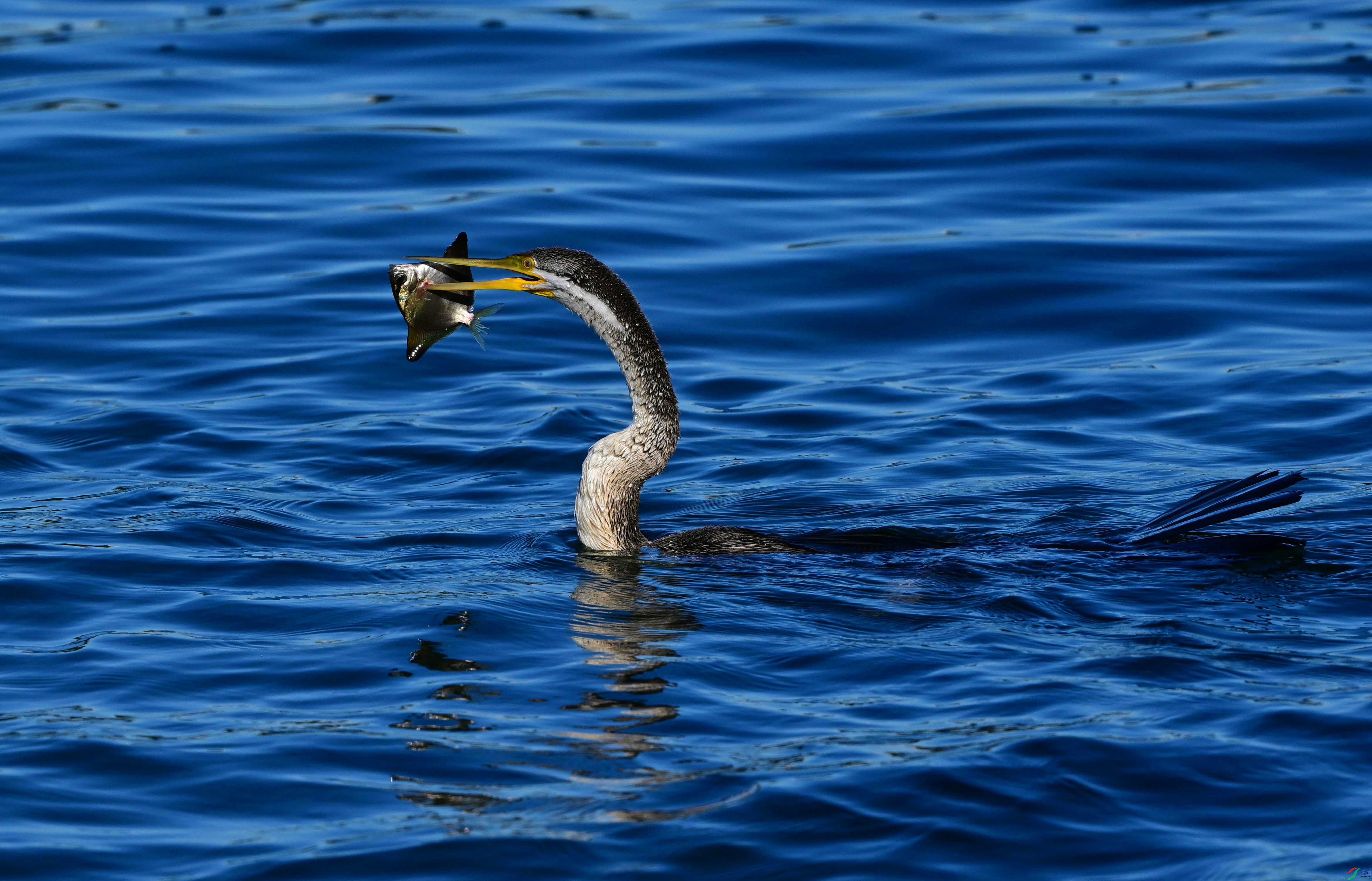 DSC_6674_��ͼ��_����.jpg