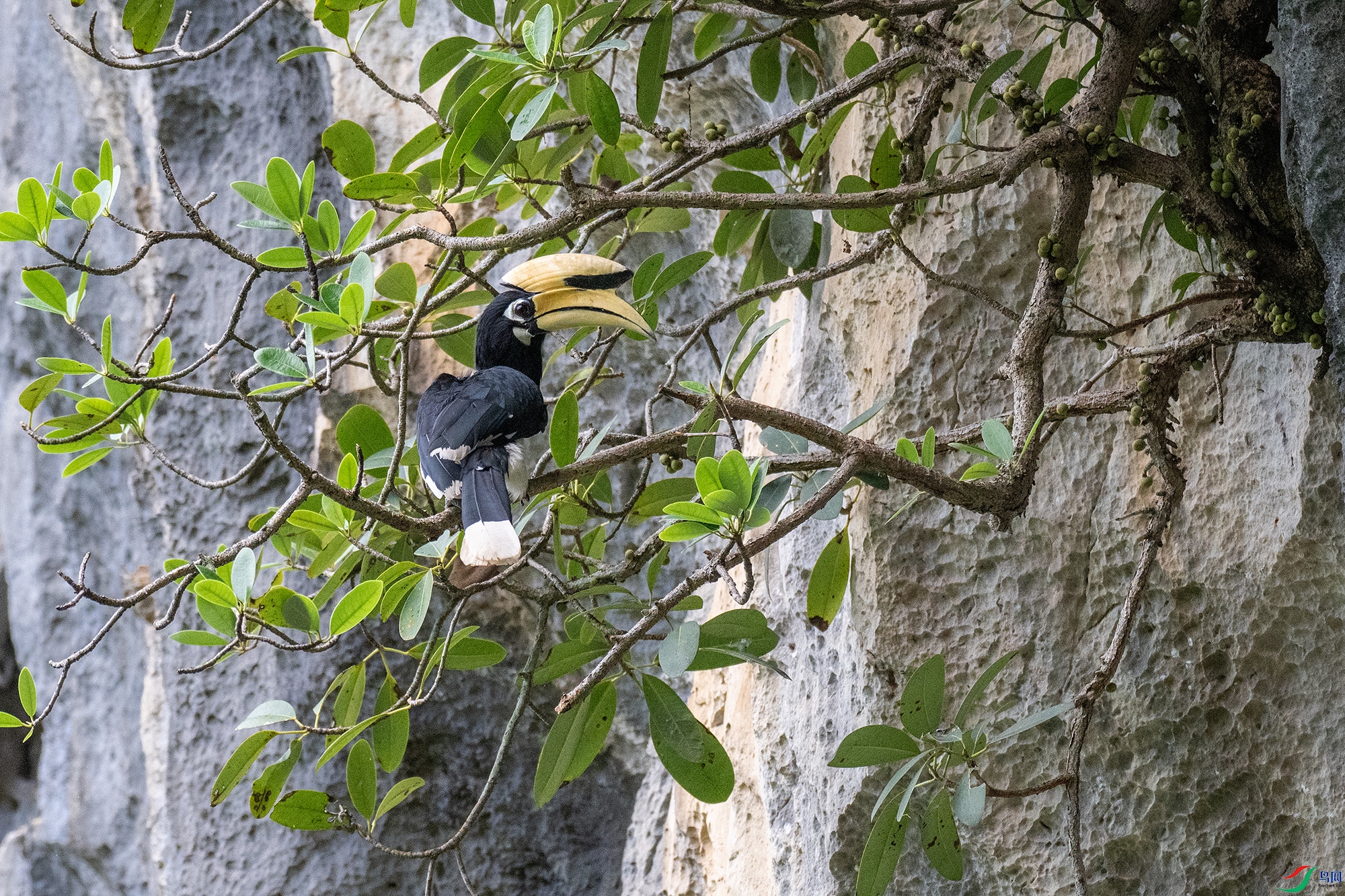 DSC_2553-1a.jpg
