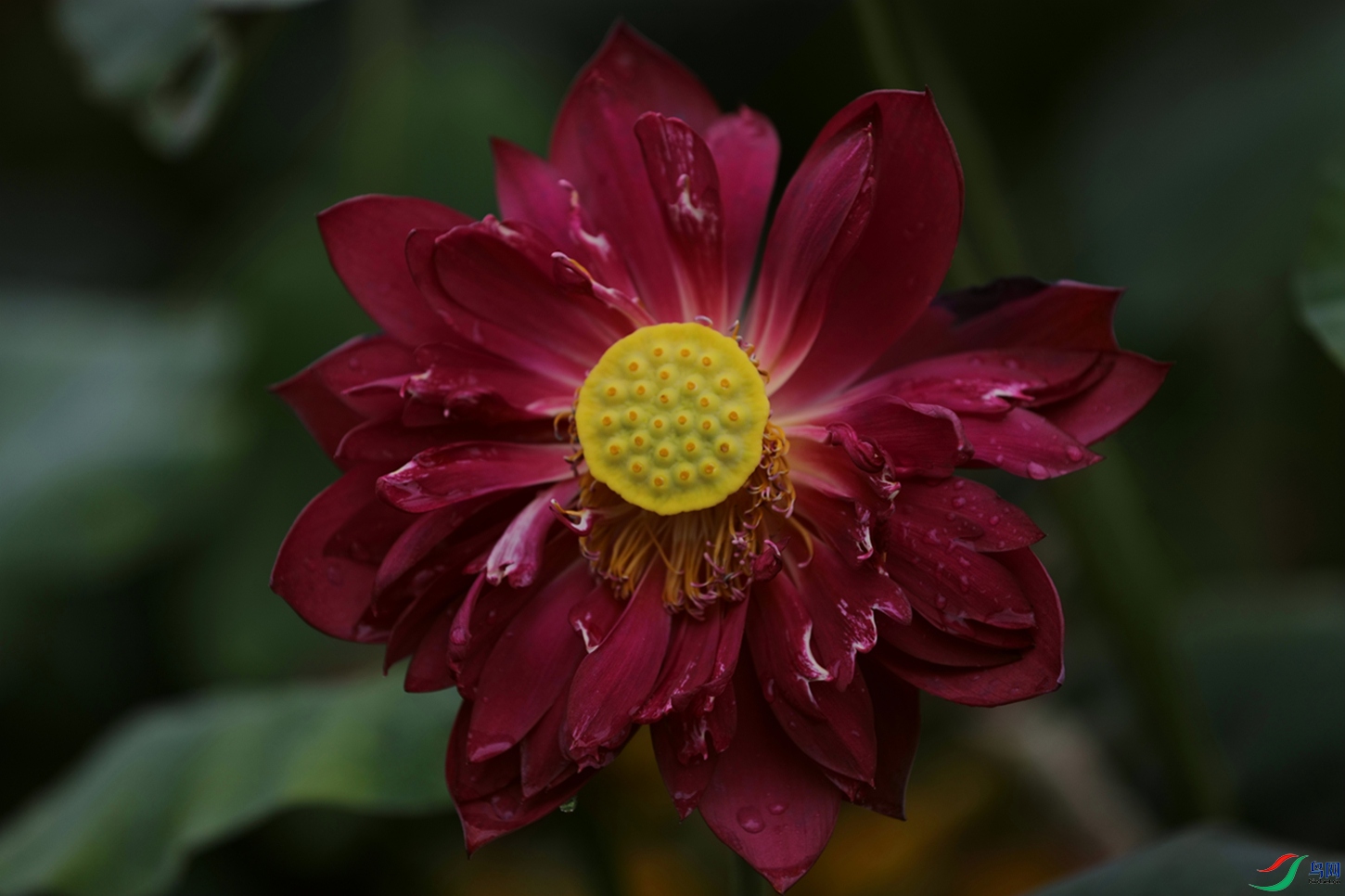 3X7A8464.JPG