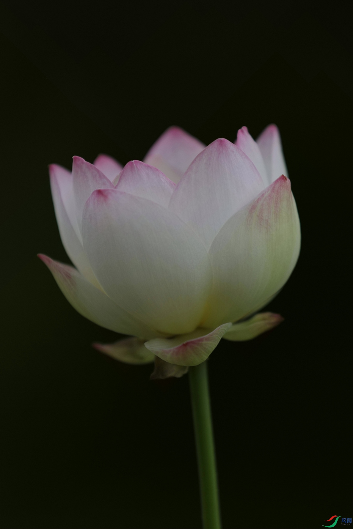 3X7A8506.JPG