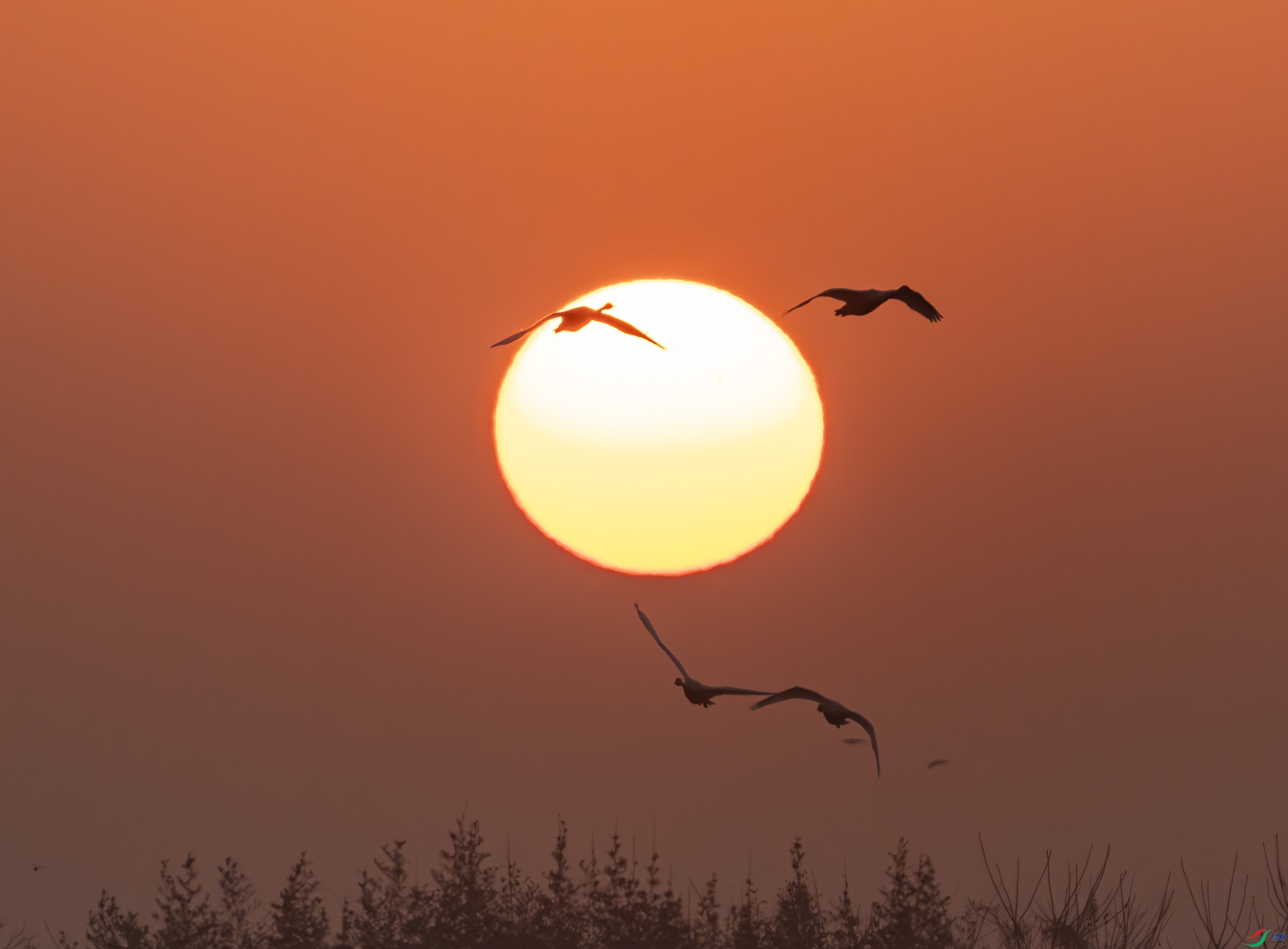 �ճ�-01-28.jpg