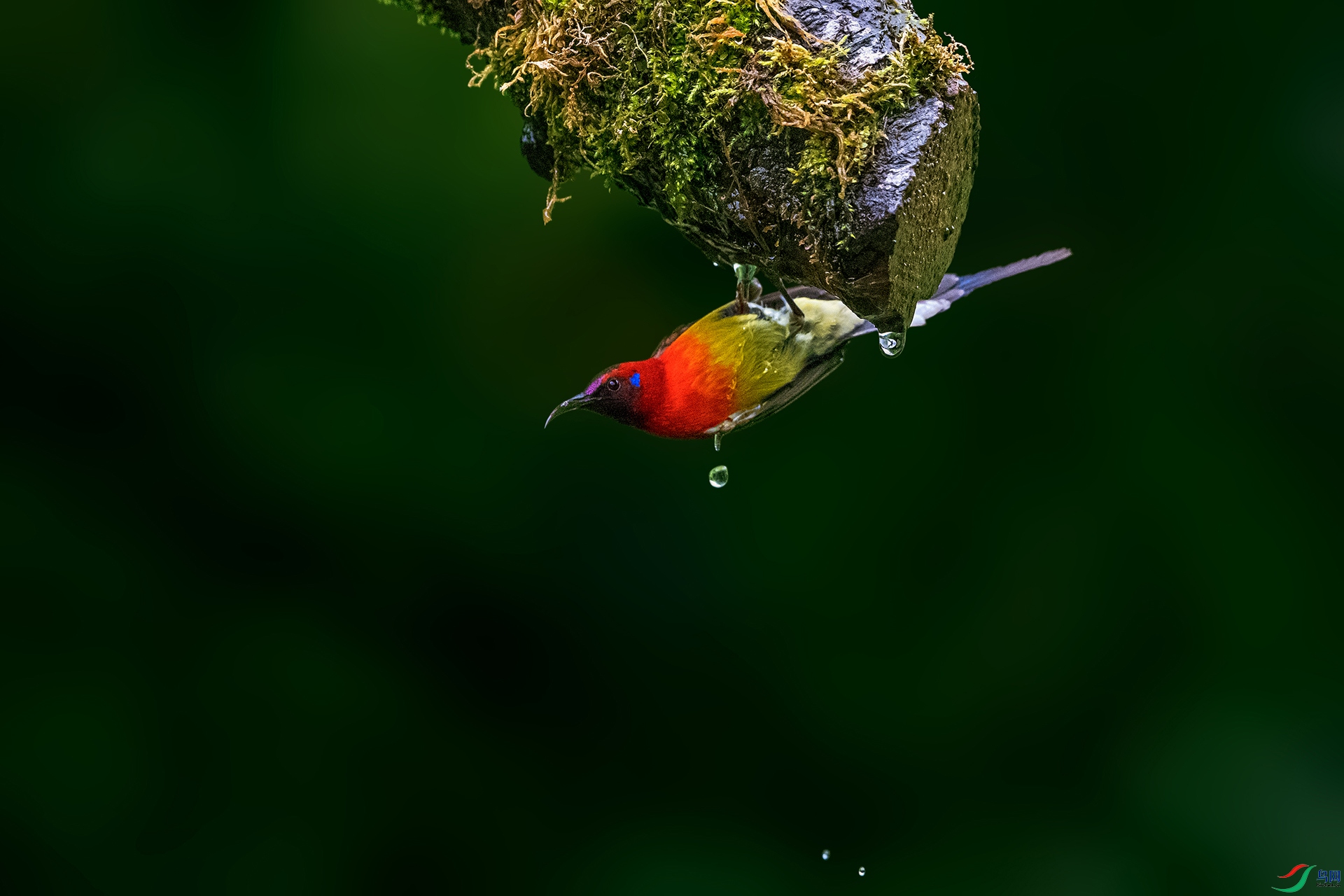 _AUU0169 ����̫����(26.6.13).jpg