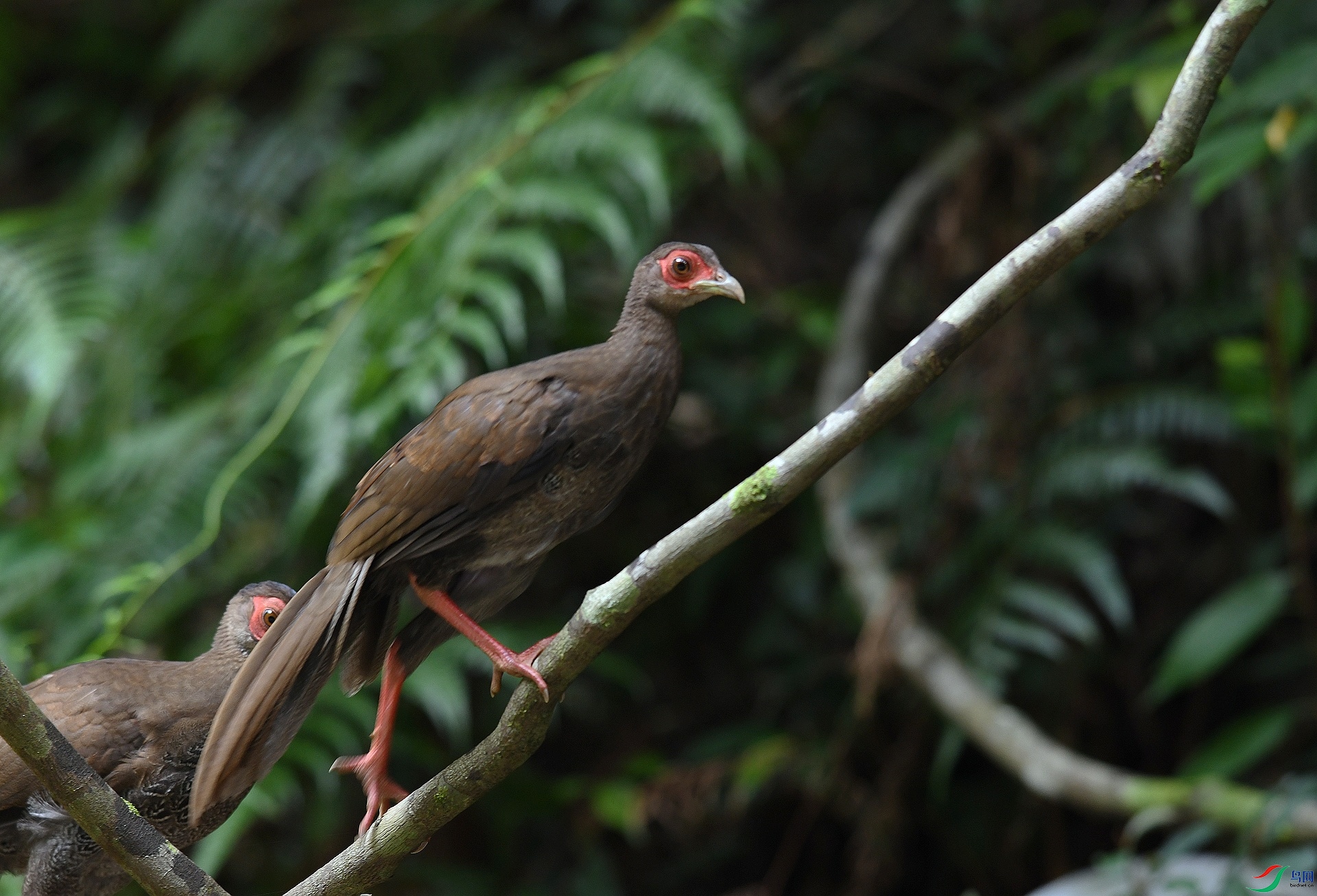 DSC_3807.jpg