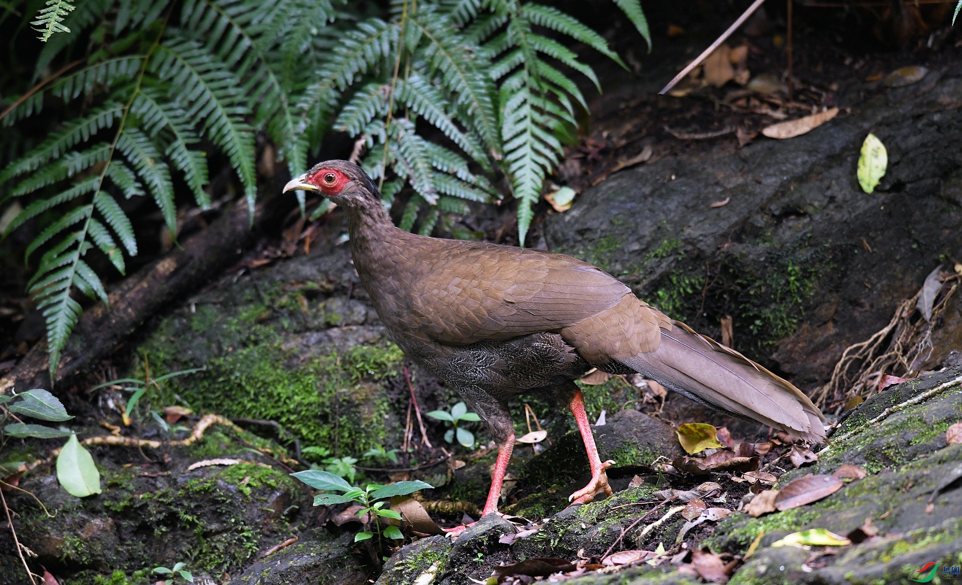 DSC_3866.jpg