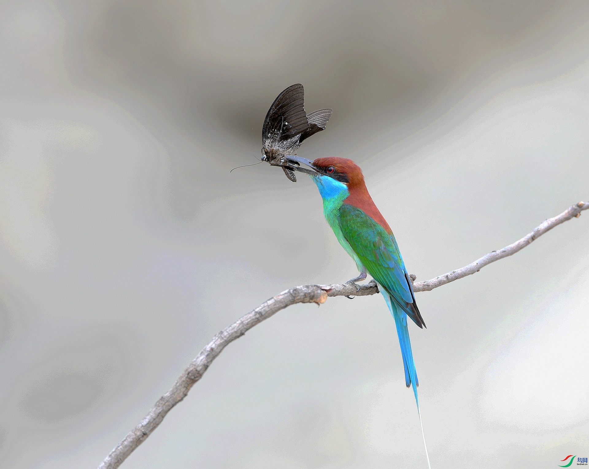 DSC_1721.jpg