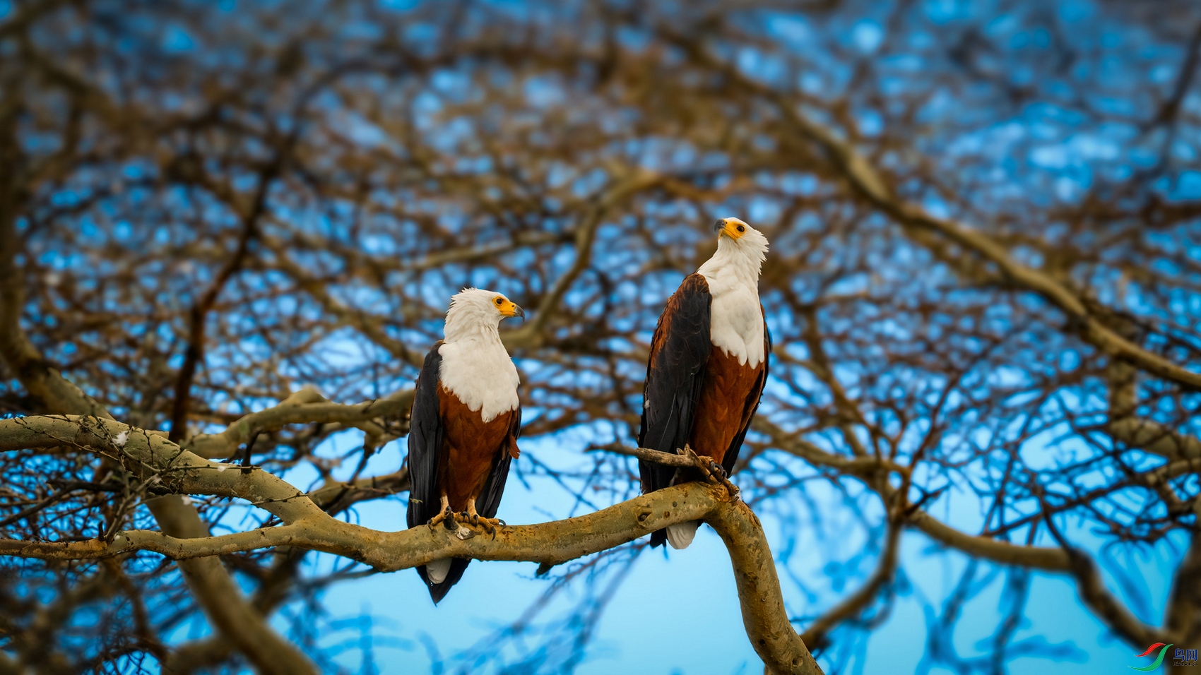 ��ƬDSC_2982.jpg