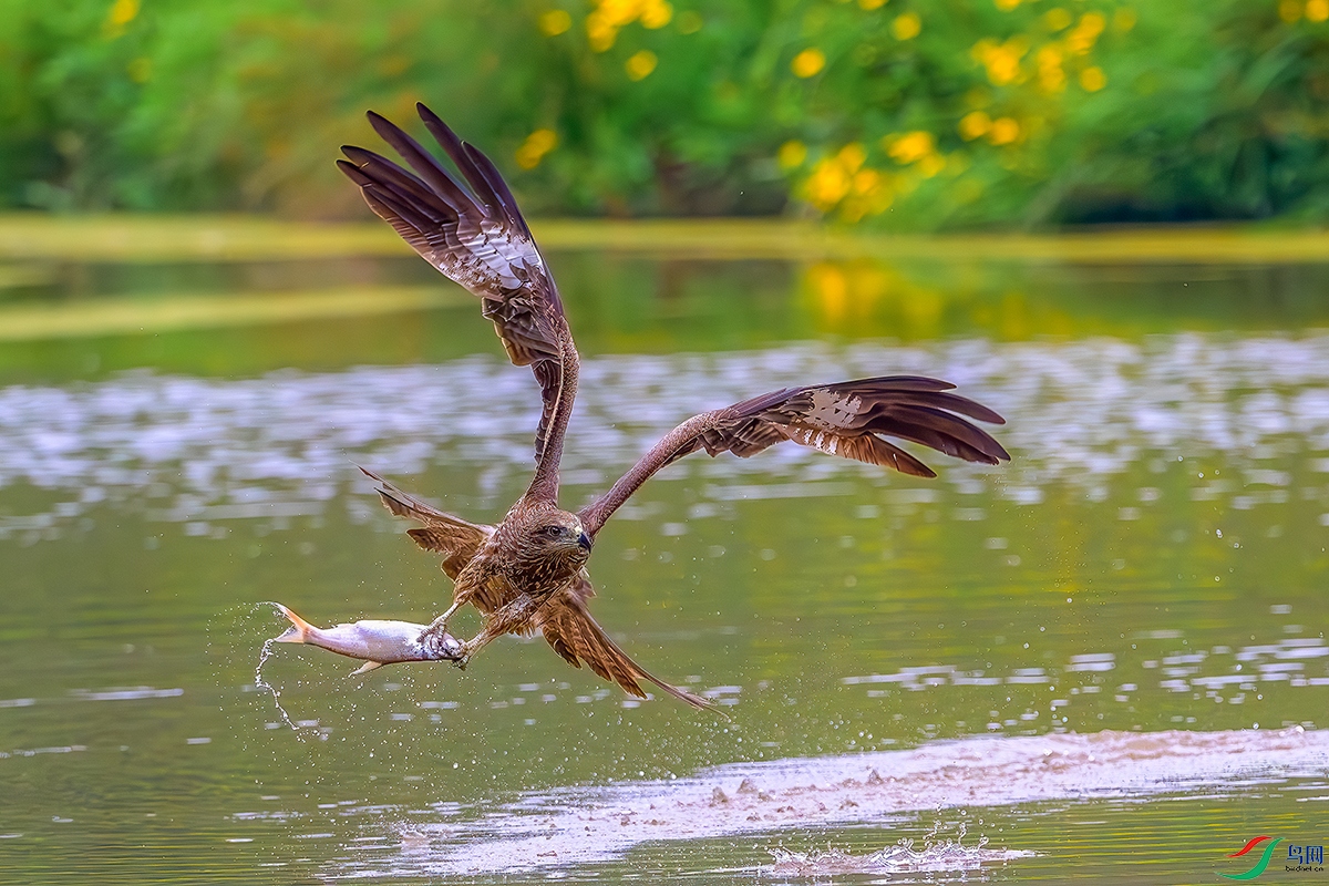 DSC_8124b.jpg