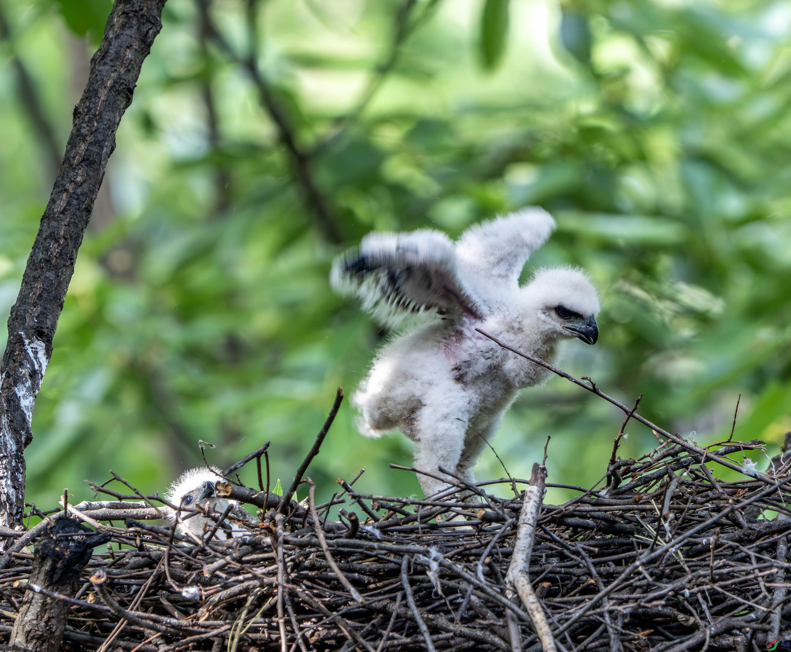 ��ͷӥ-33.jpg